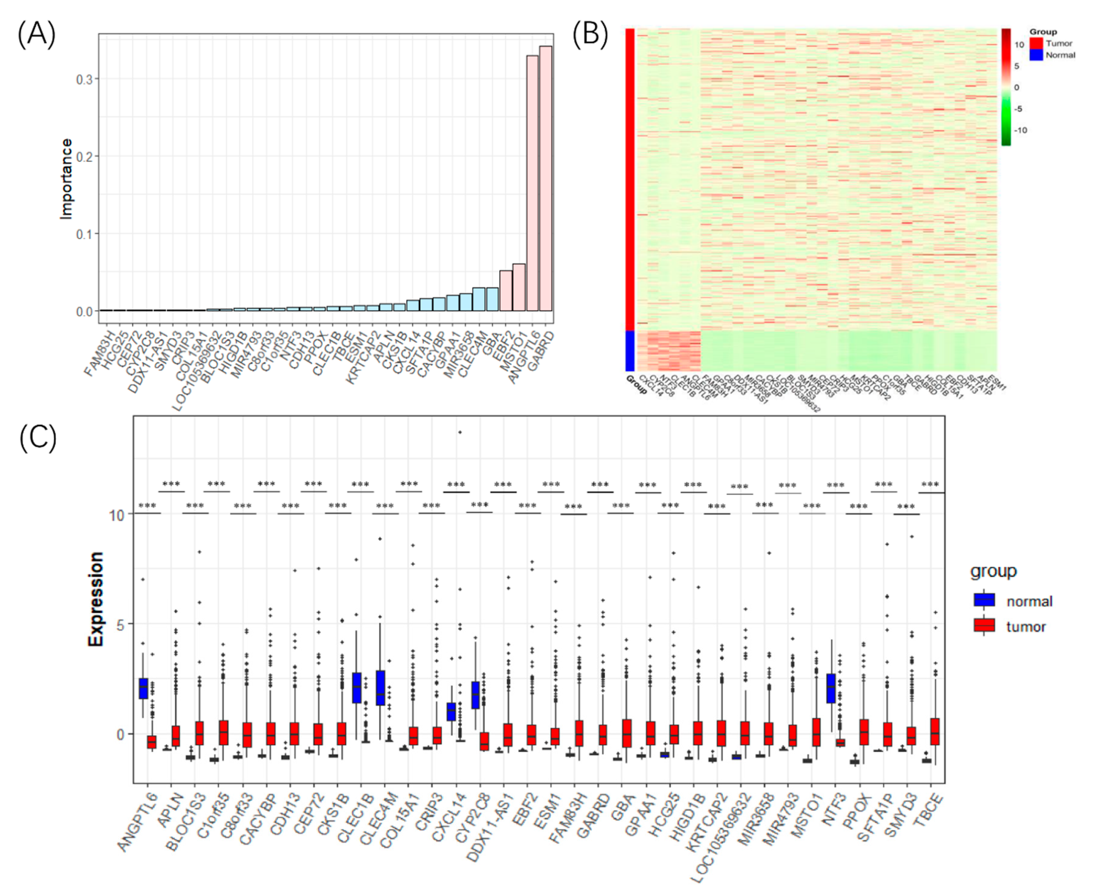 Genes 11 01051 g002