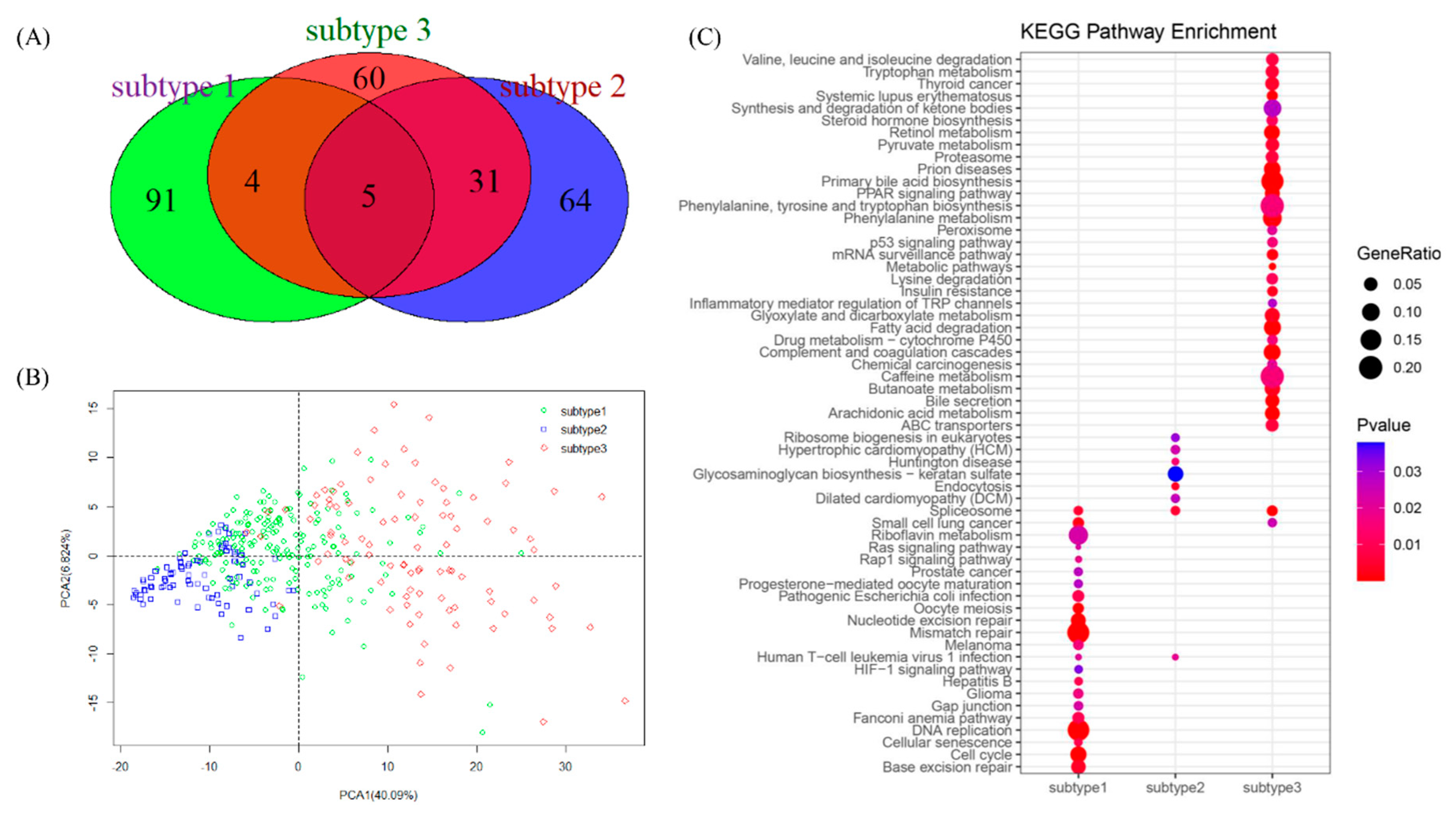 Genes 11 01051 g007