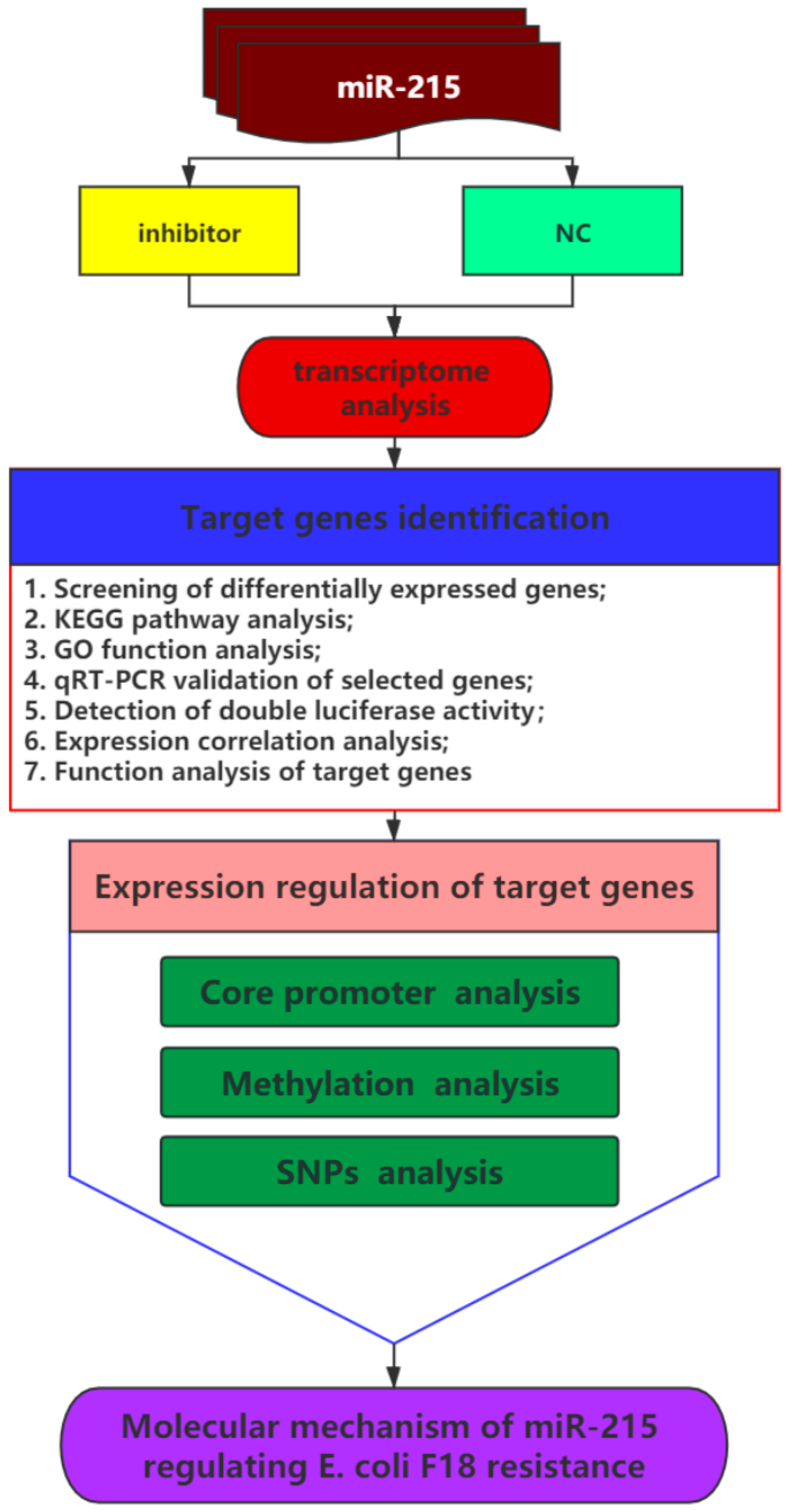 Genes 11 01053 g001 Genes 11 01053 g001
