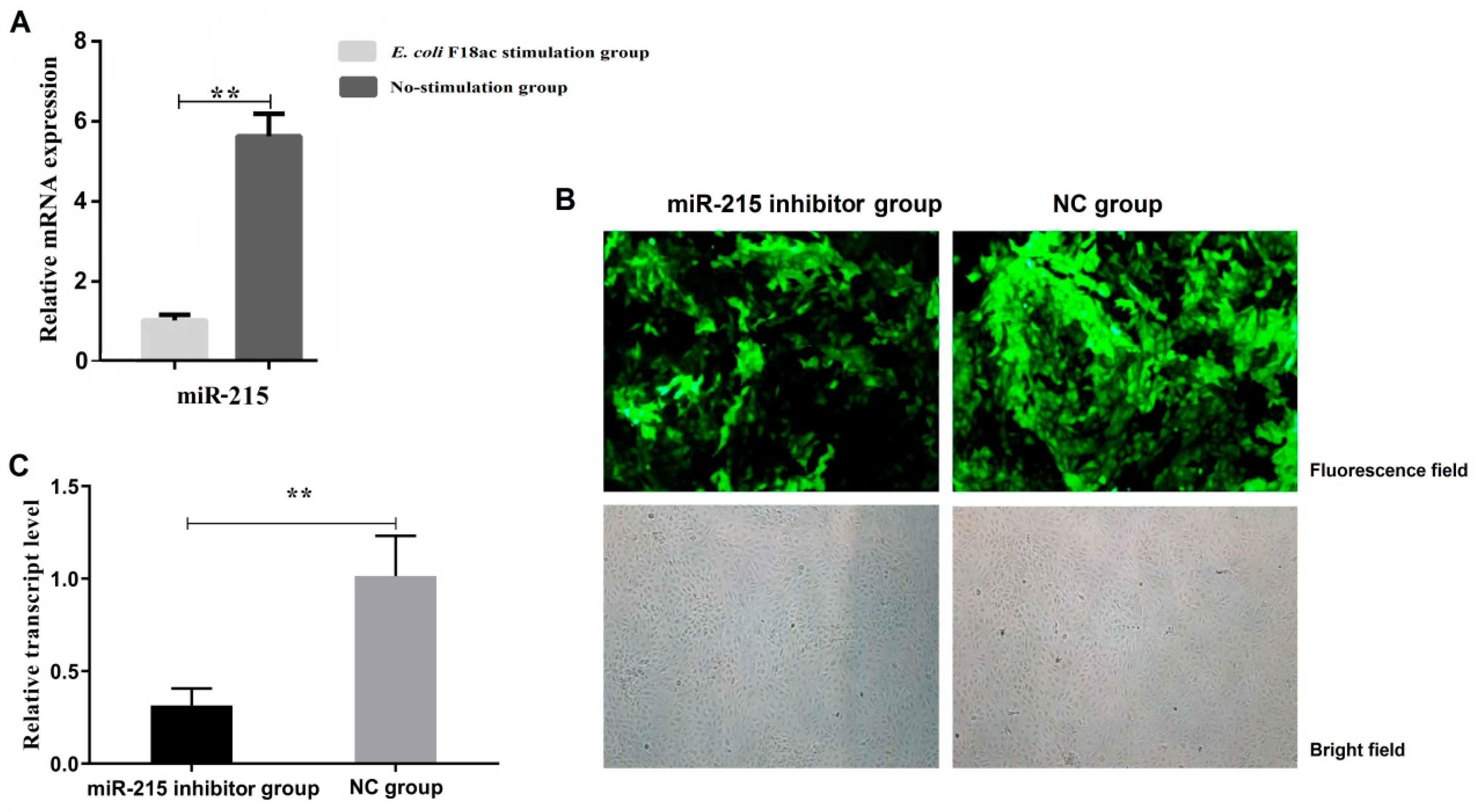 Genes 11 01053 g002 Genes 11 01053 g002
