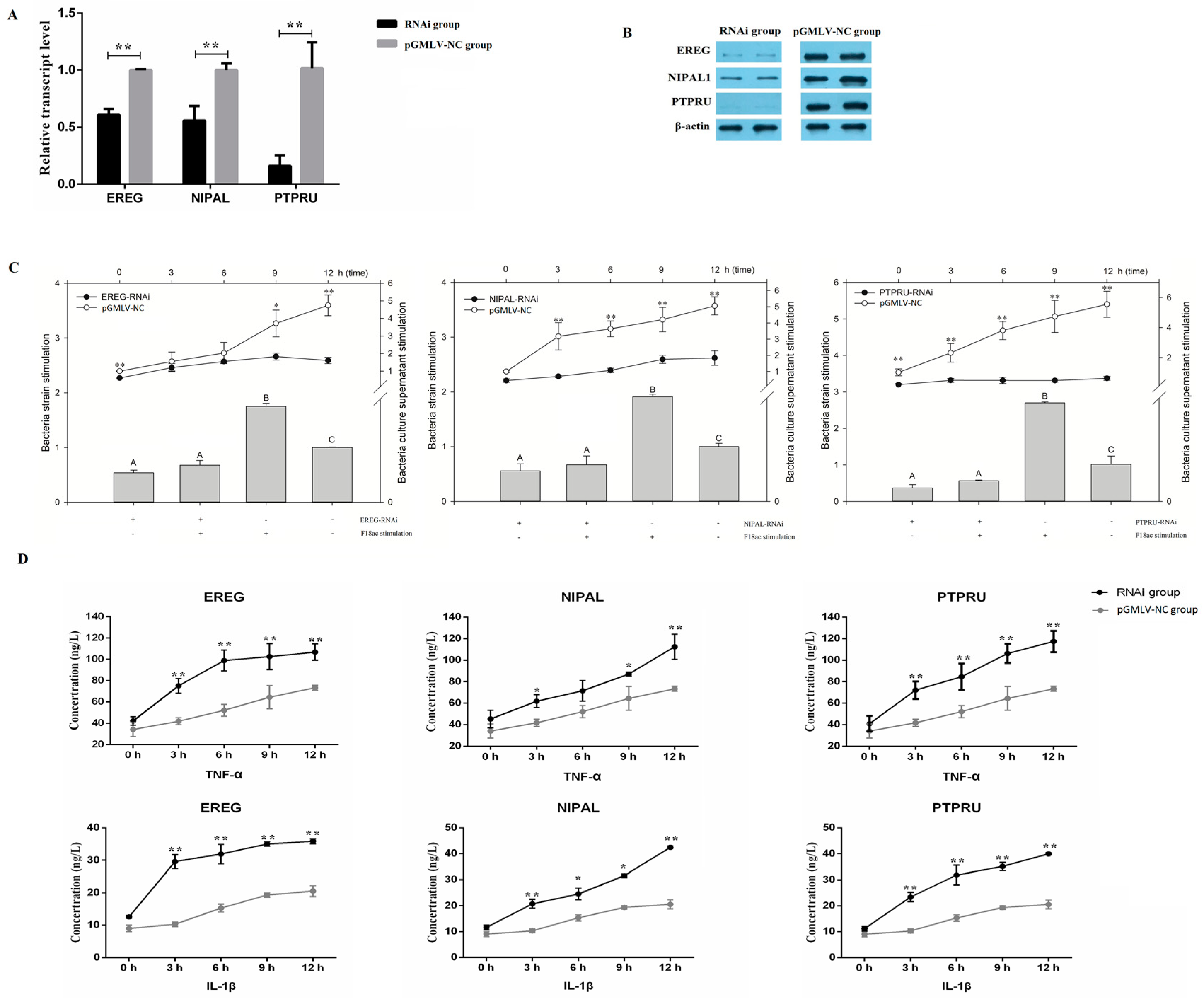 Genes 11 01053 g005 Genes 11 01053 g005