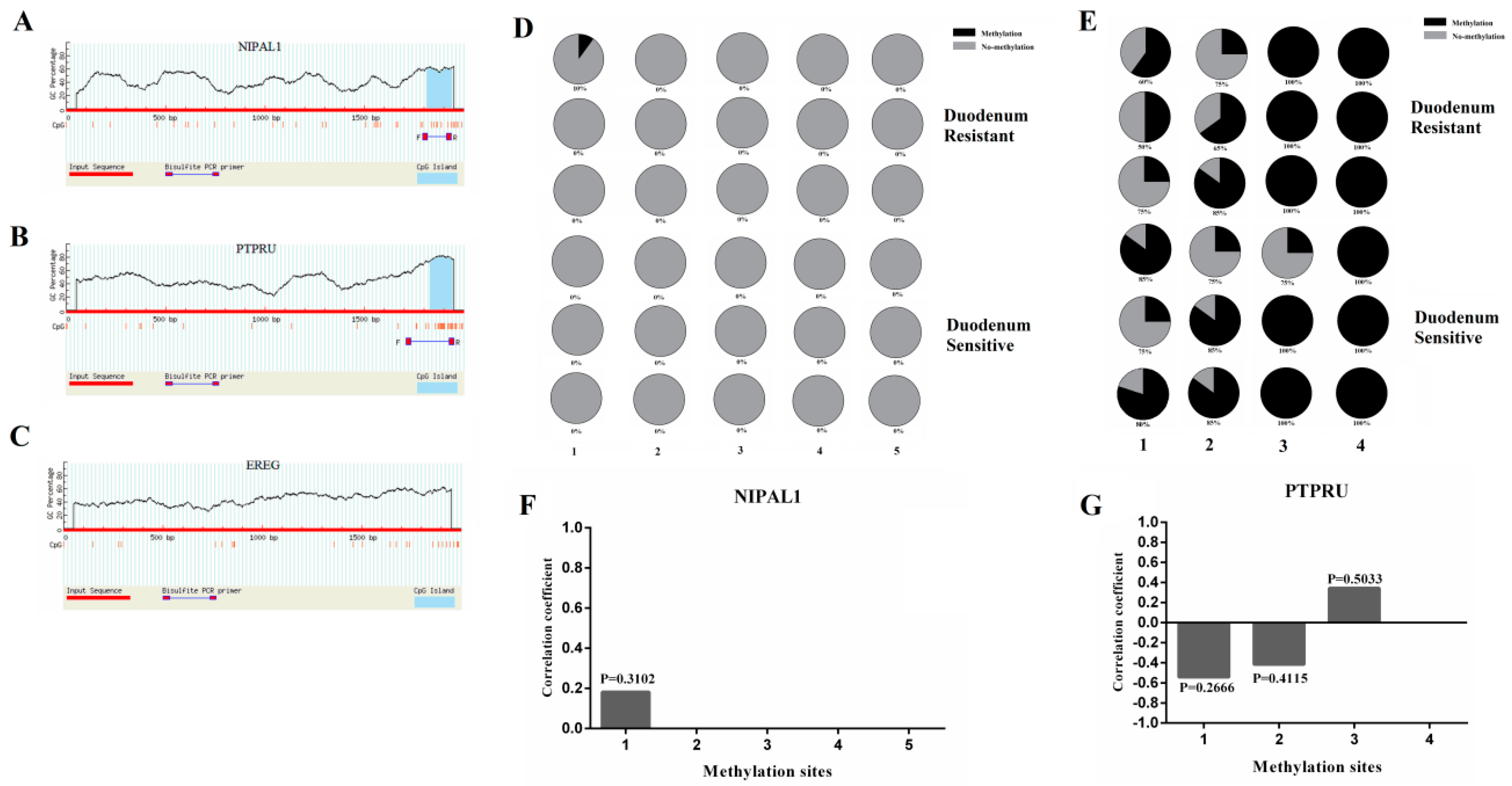 Genes 11 01053 g006 Genes 11 01053 g006