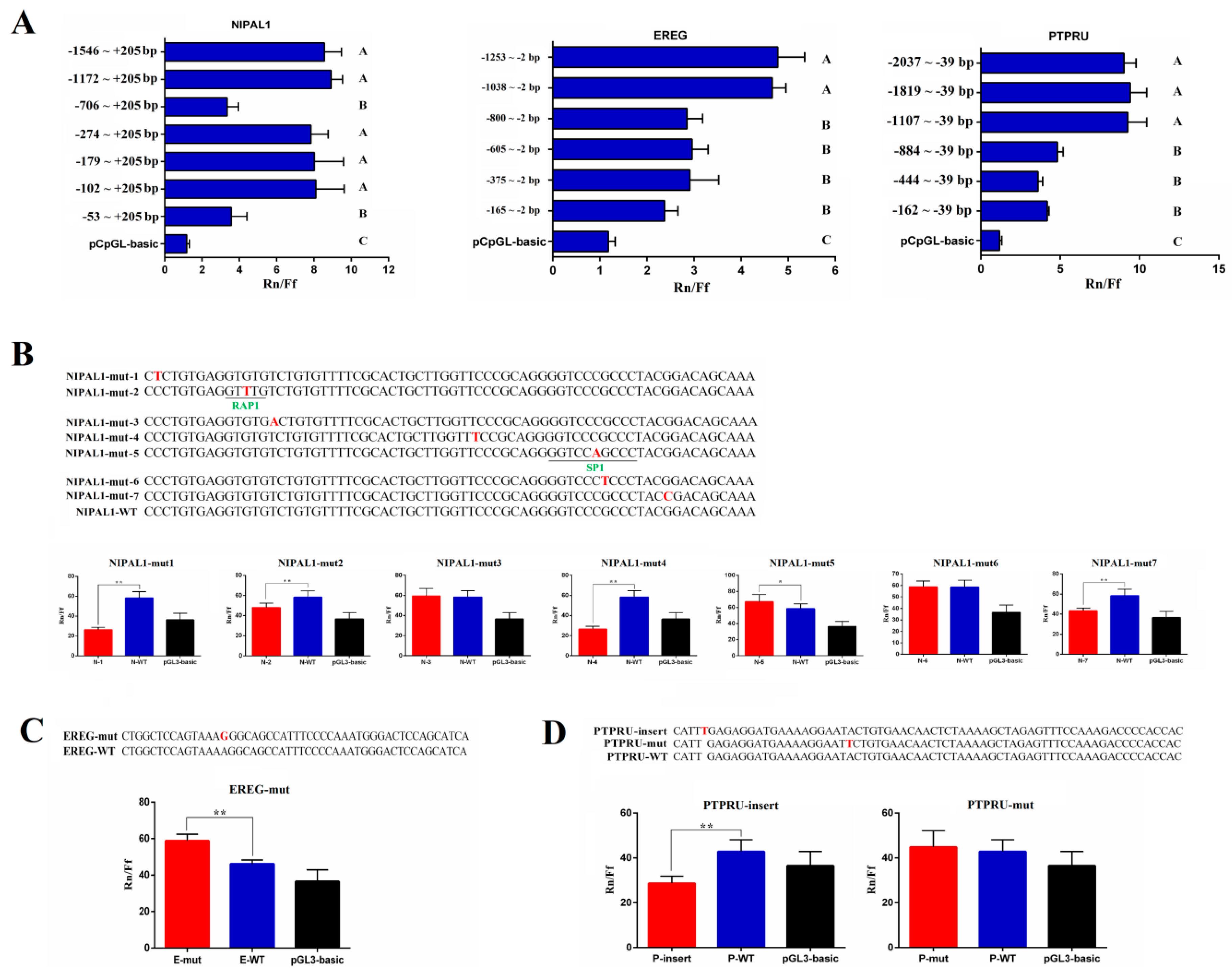 Genes 11 01053 g007 Genes 11 01053 g007