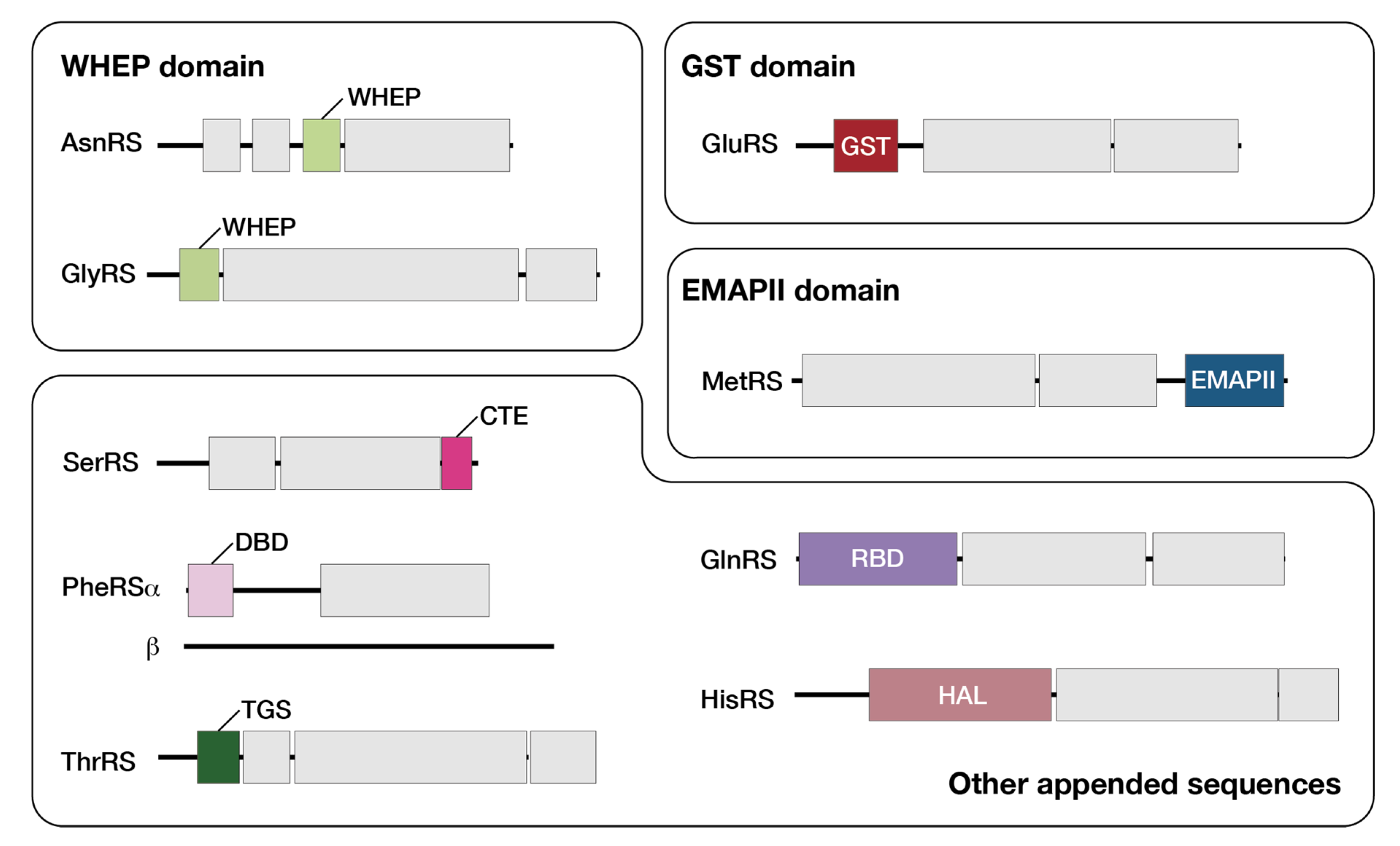 Genes 11 01056 g002