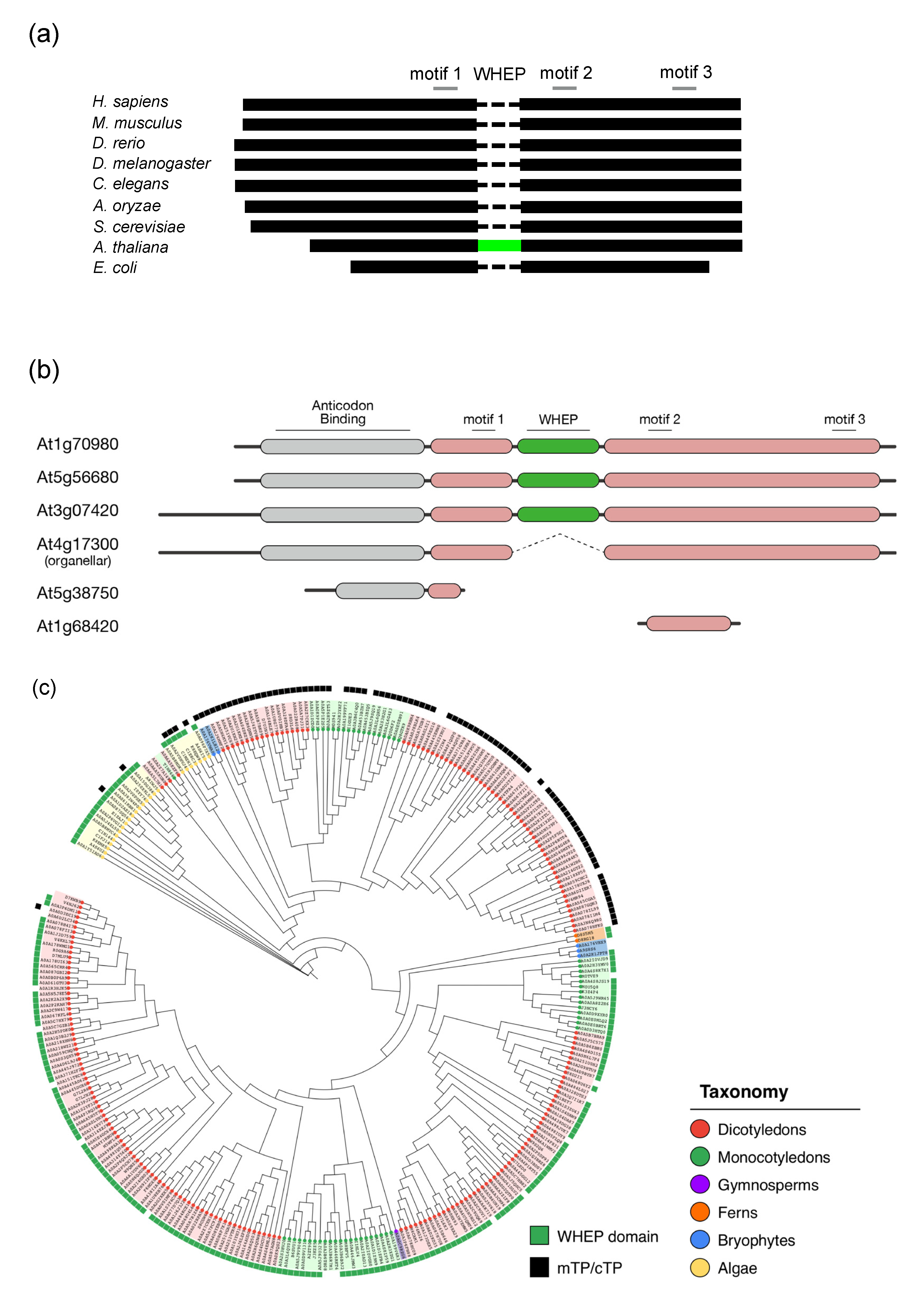 Genes 11 01056 g003a