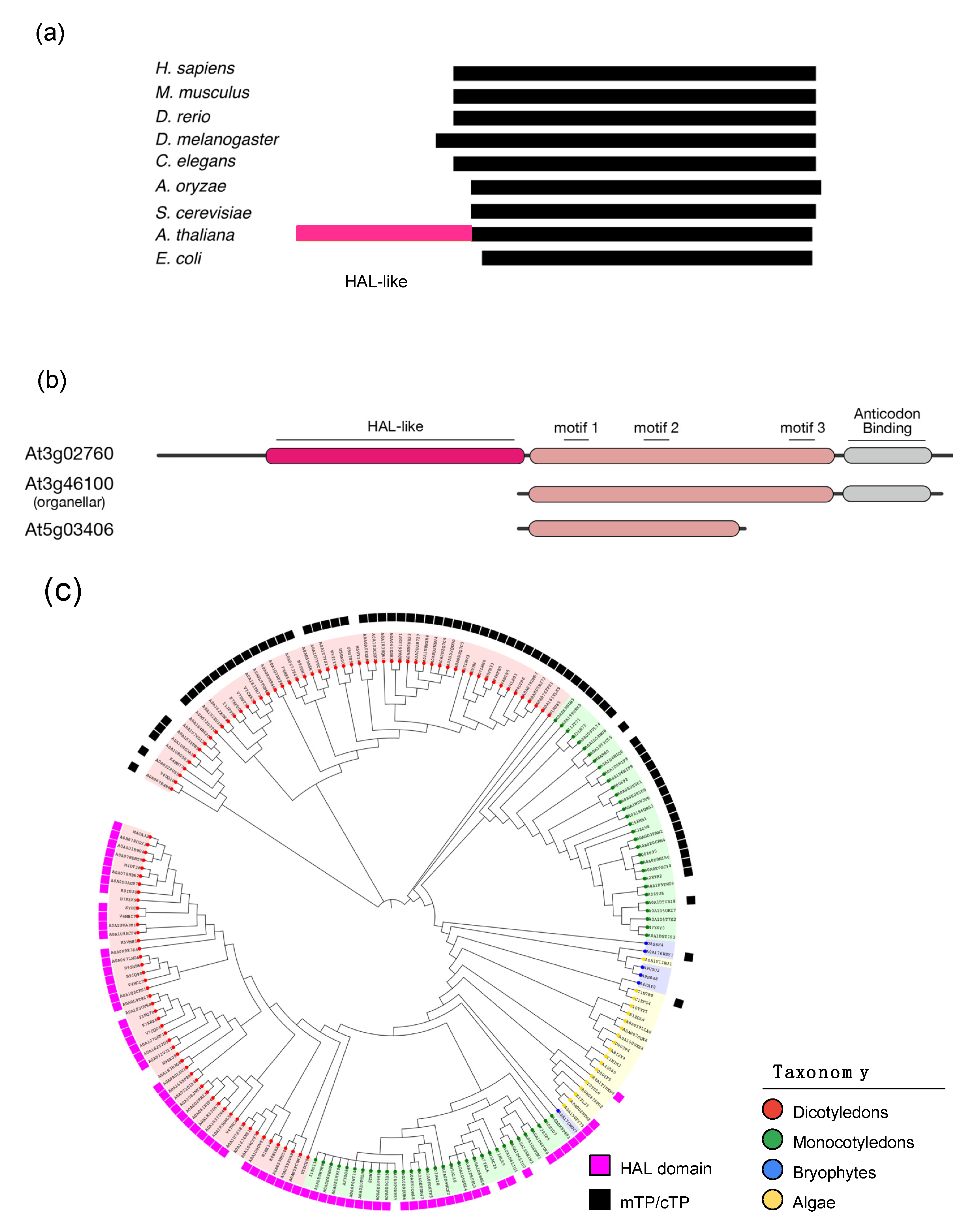 Genes 11 01056 g004