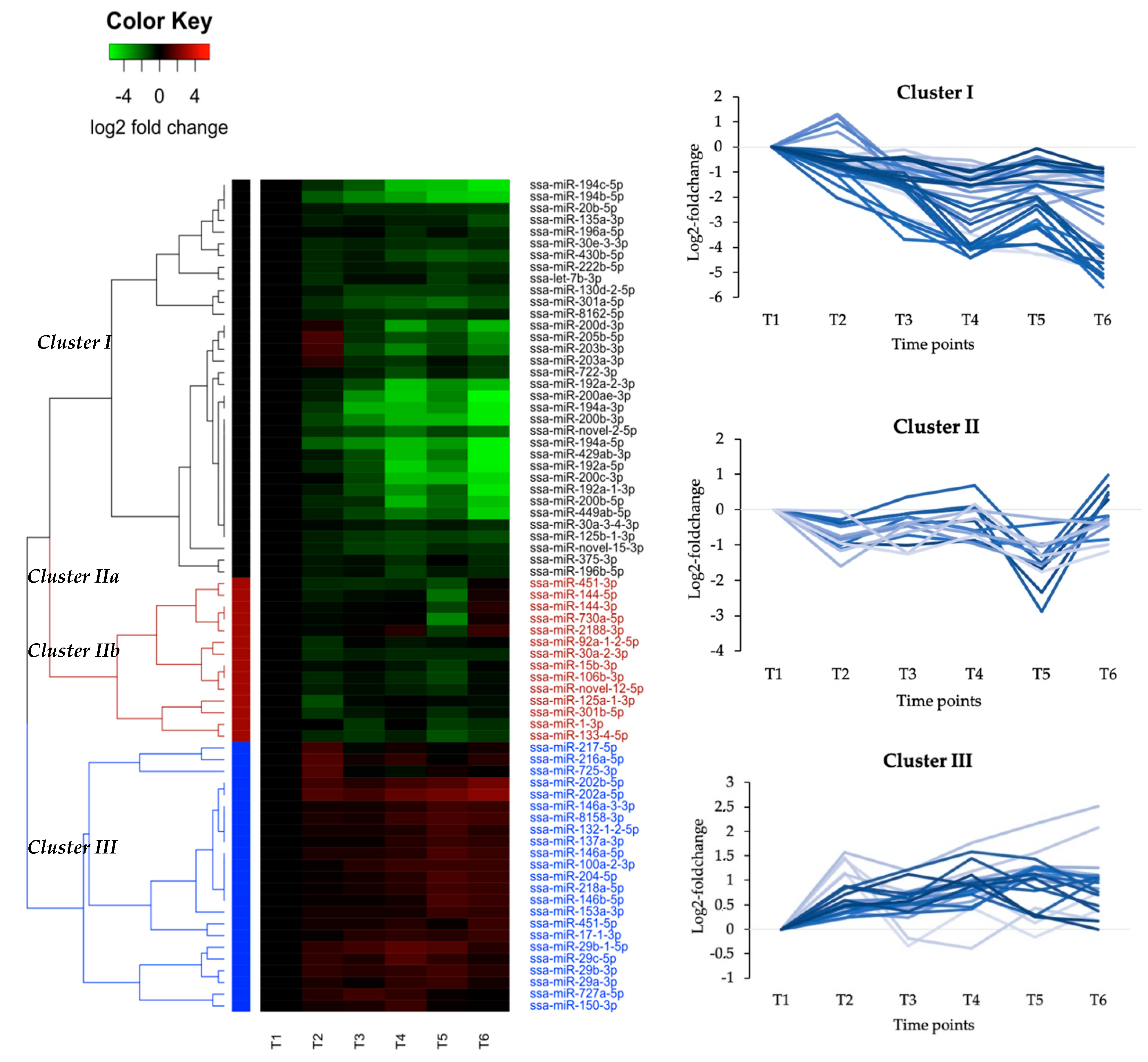 Genes 11 01059 g001 Genes 11 01059 g001