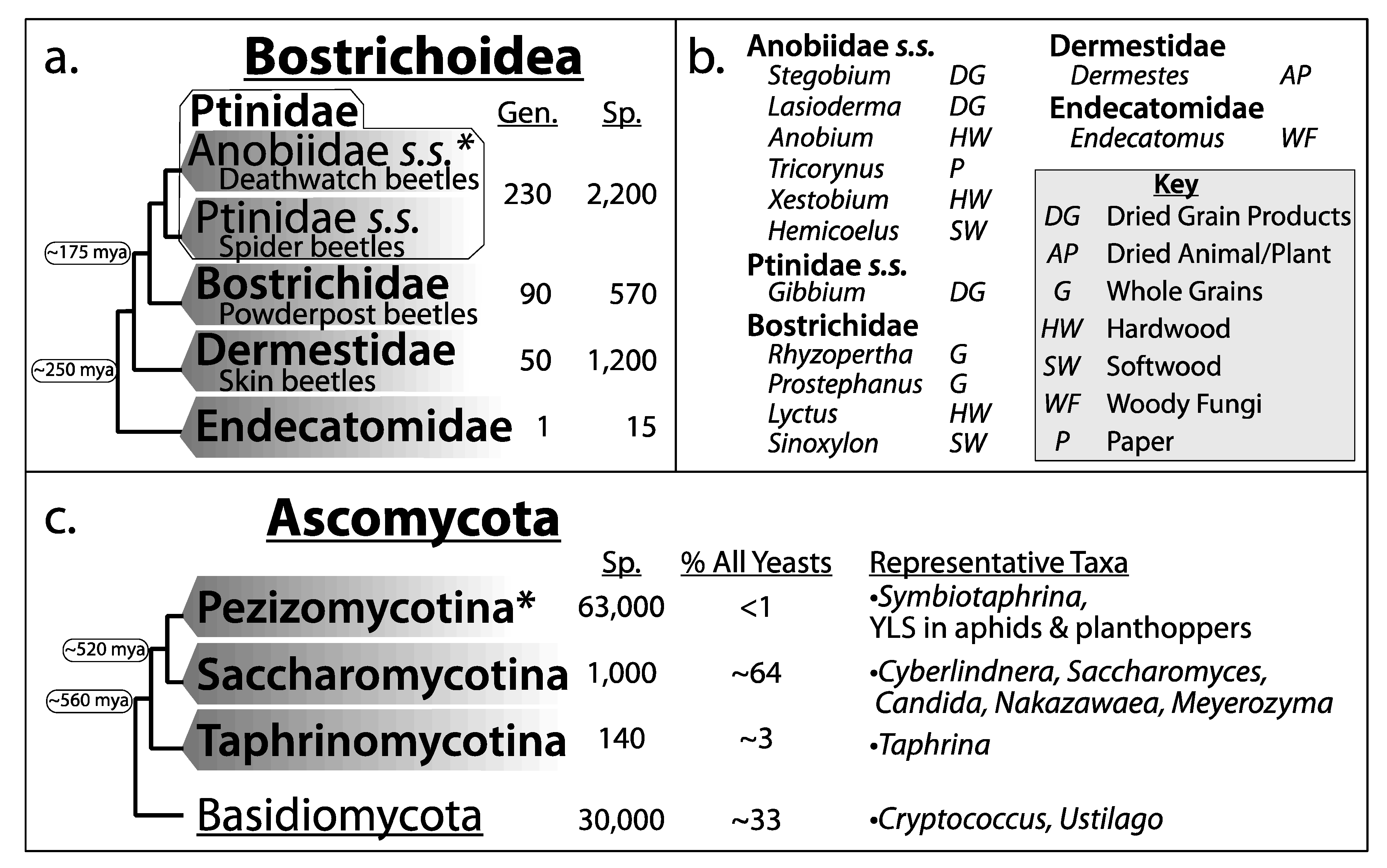 Genes 11 01063 g003 Genes 11 01063 g003