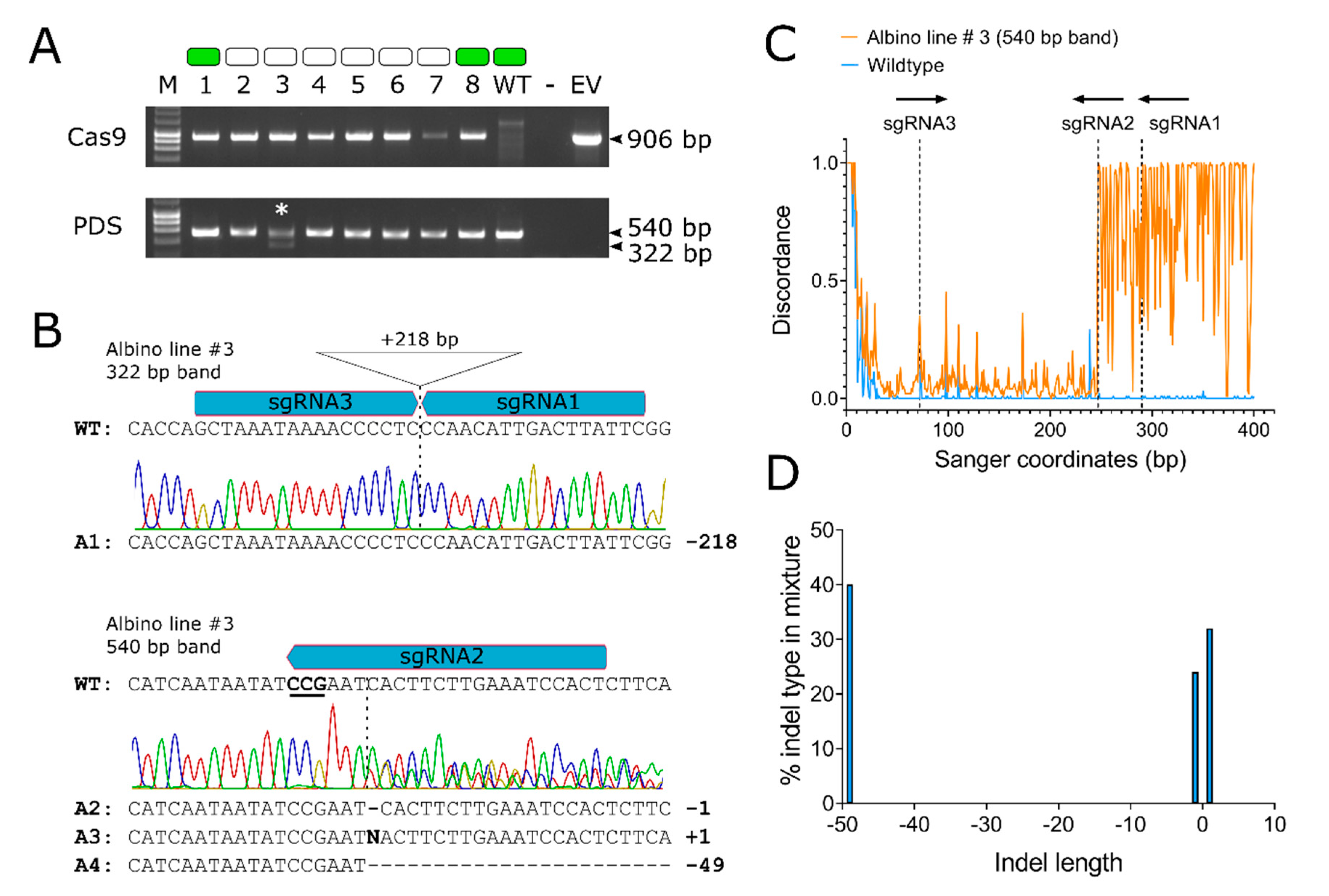 Genes 11 01064 g003 Genes 11 01064 g003