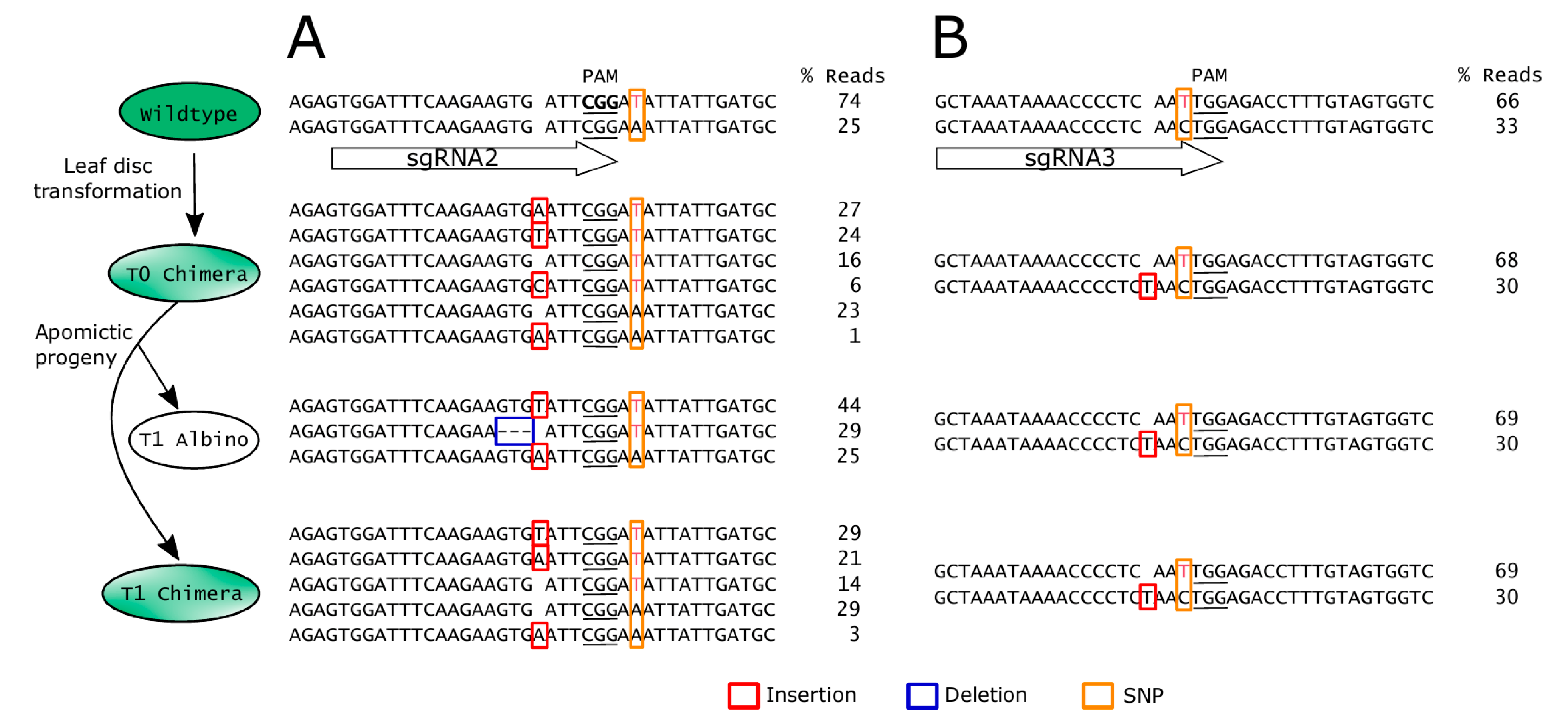 Genes 11 01064 g005 Genes 11 01064 g005
