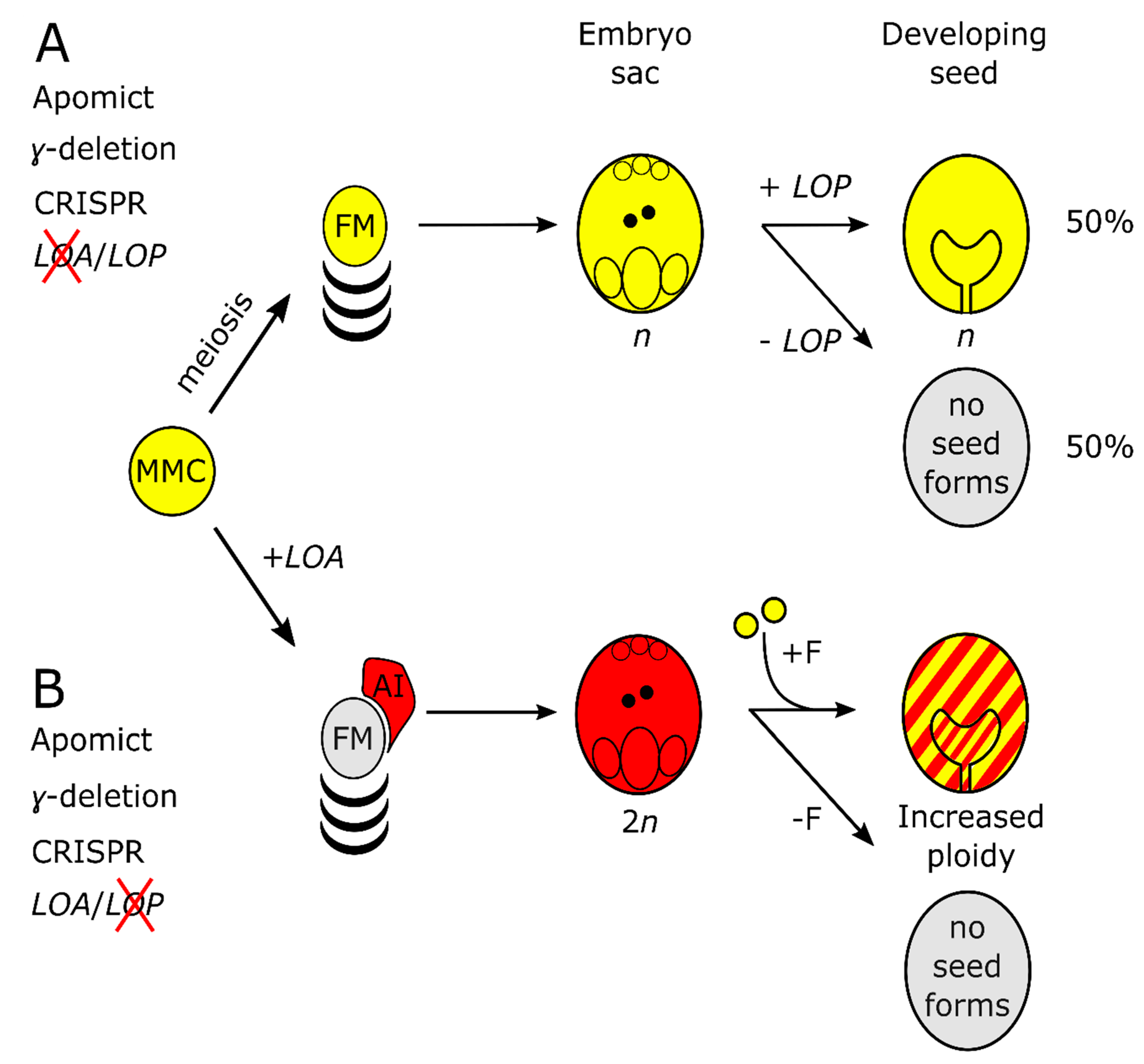 Genes 11 01064 g006 Genes 11 01064 g006