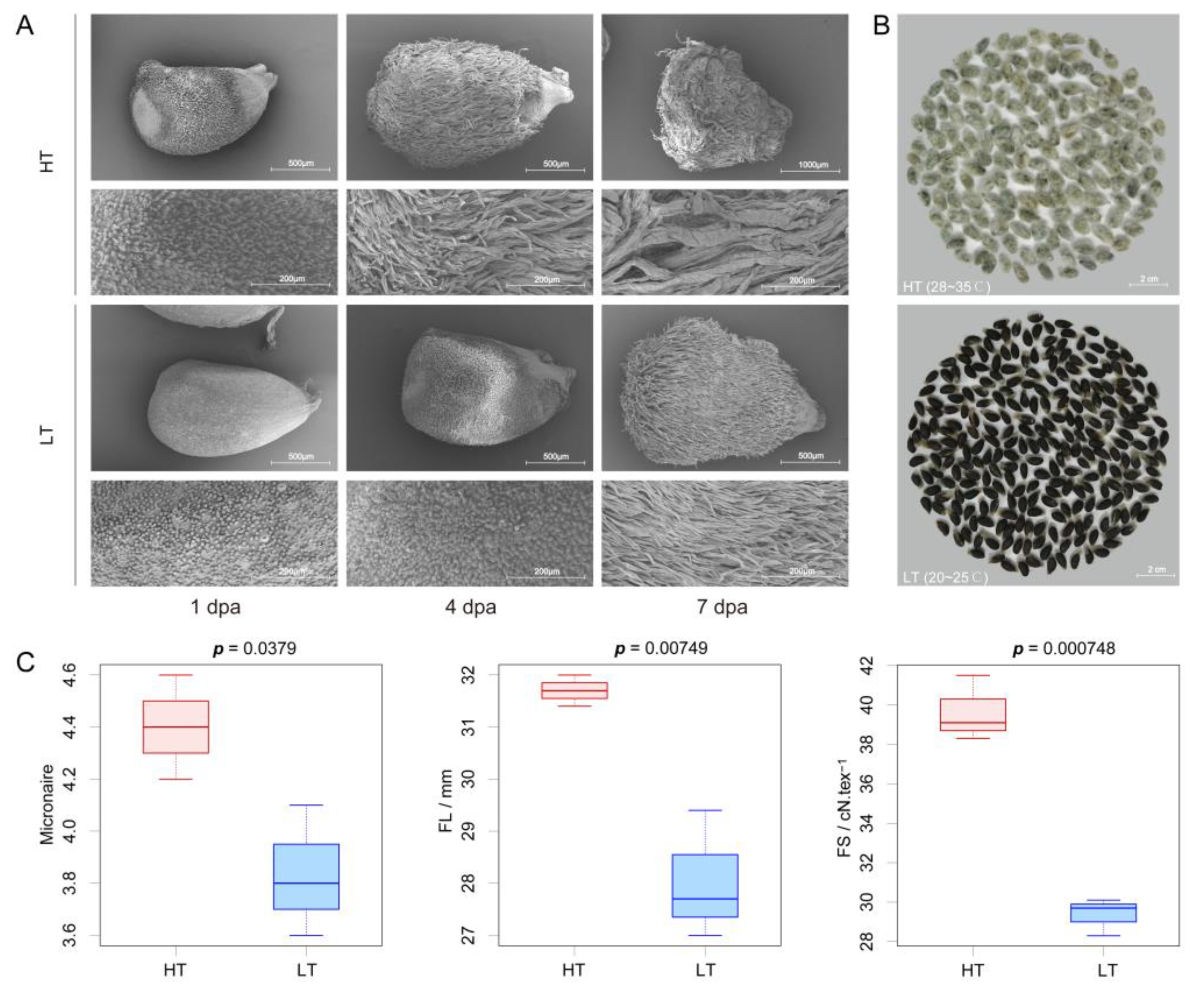 Genes 11 01066 g003 Genes 11 01066 g003