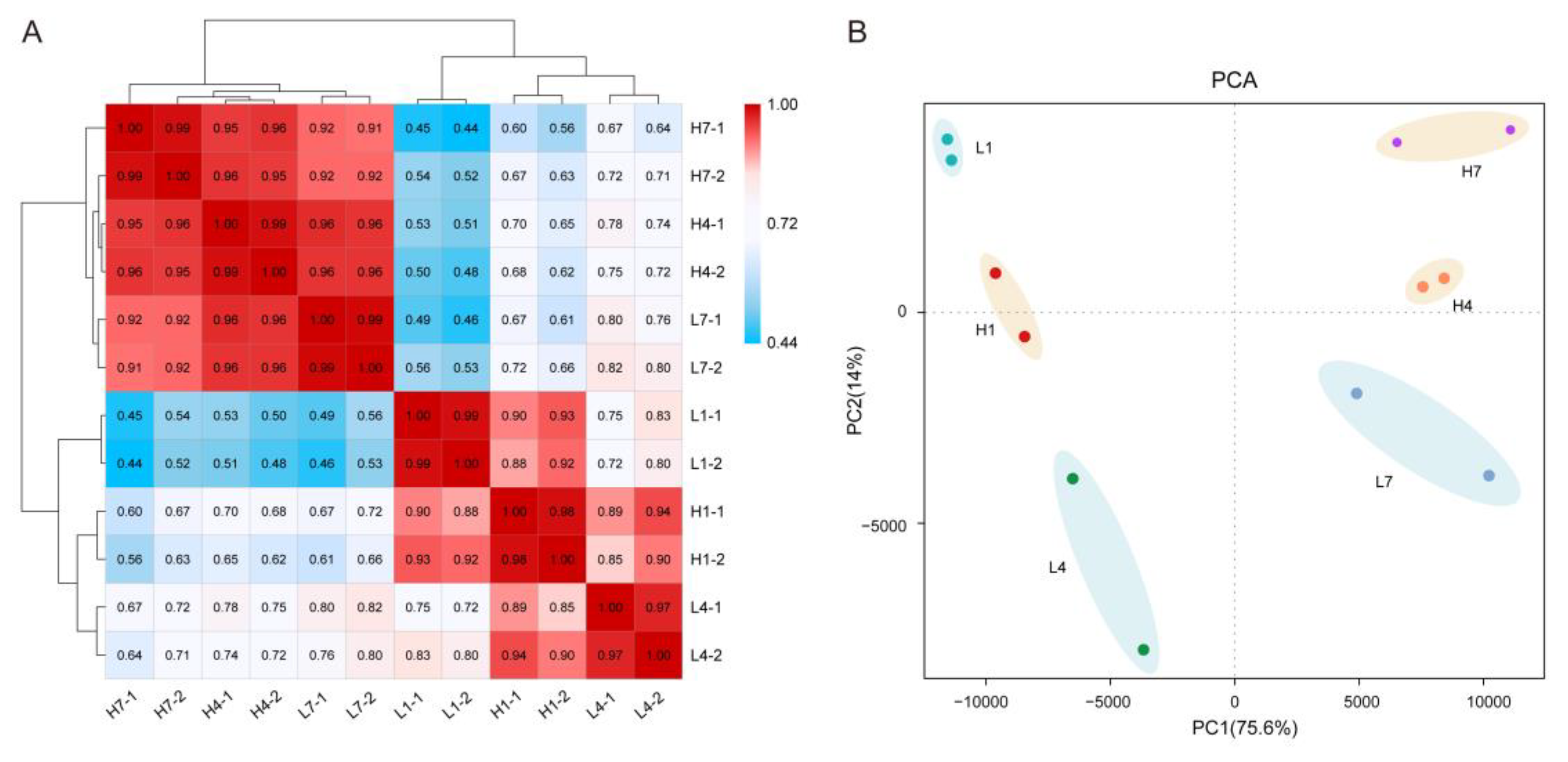 Genes 11 01066 g004 Genes 11 01066 g004