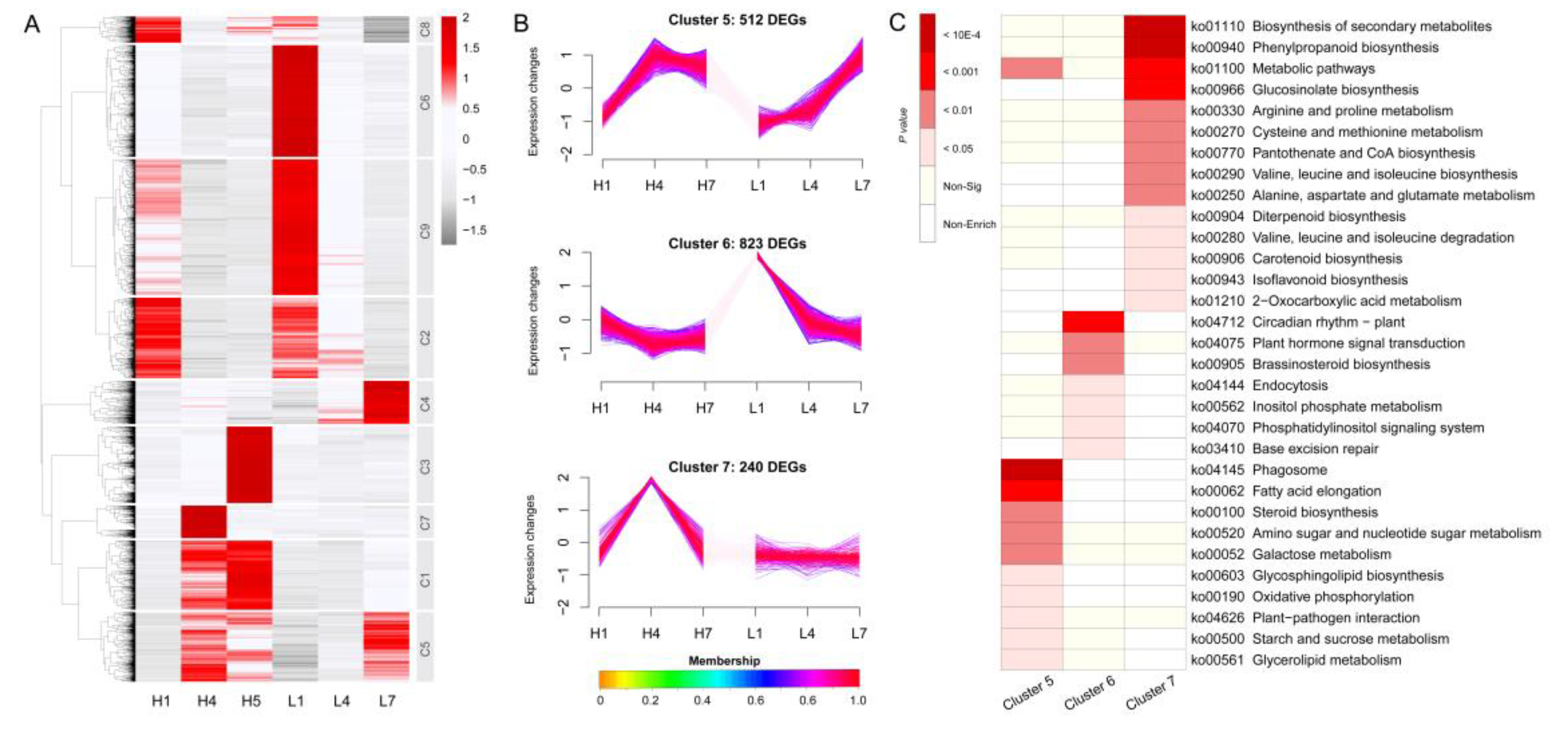 Genes 11 01066 g005 Genes 11 01066 g005