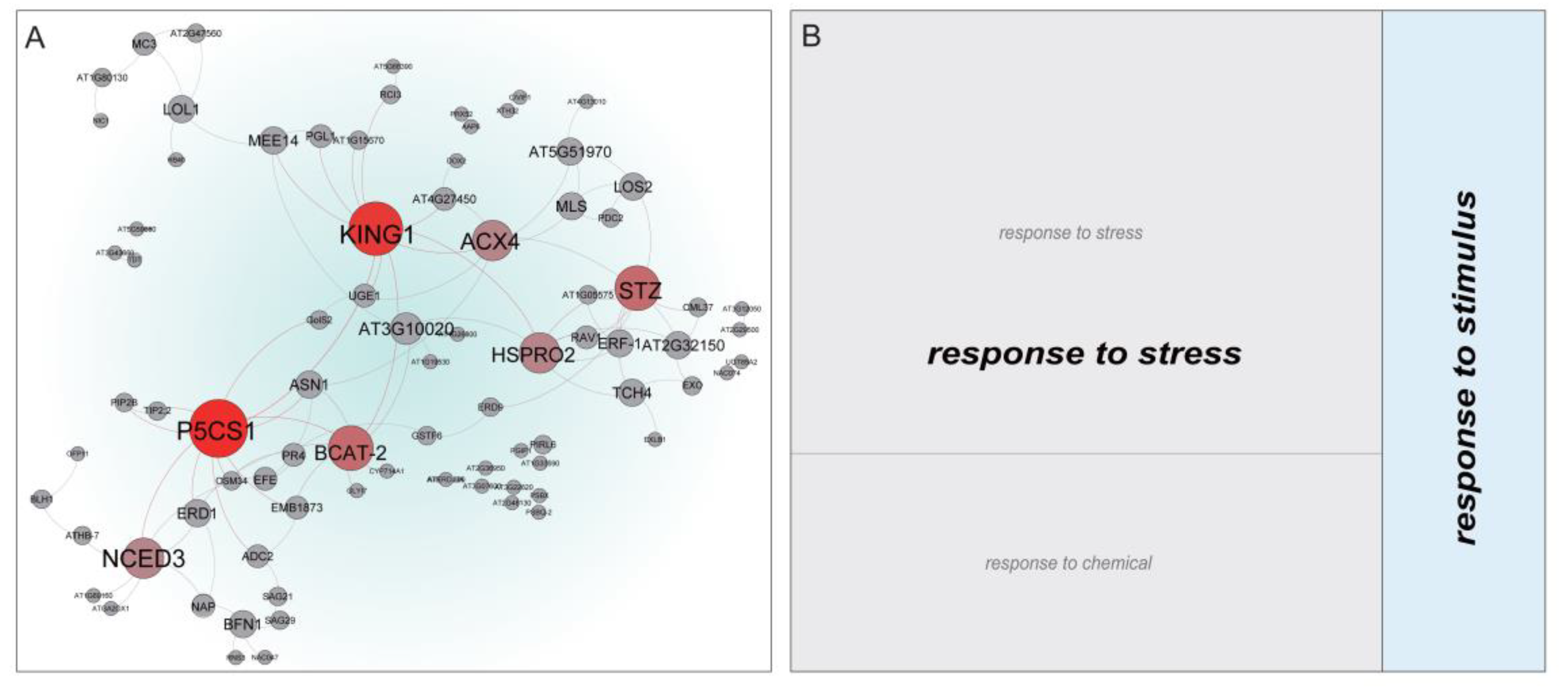 Genes 11 01066 g006 Genes 11 01066 g006