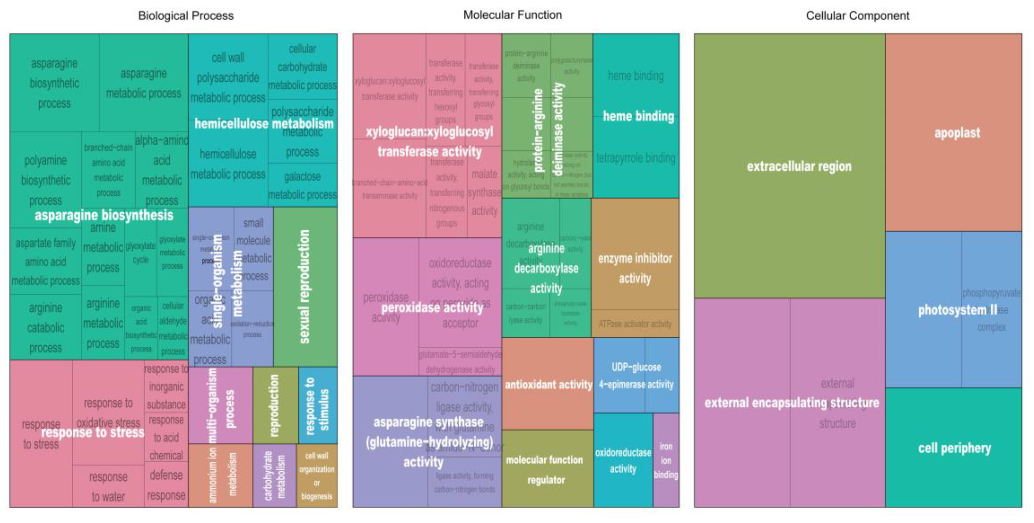 Genes 11 01066 g007 Genes 11 01066 g007