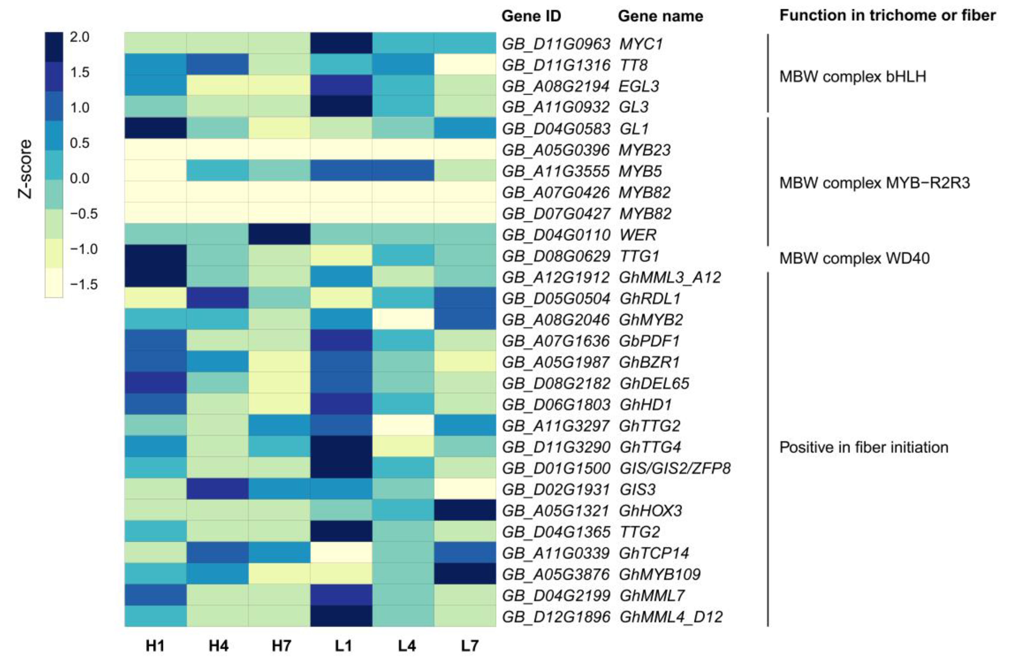 Genes 11 01066 g008 Genes 11 01066 g008