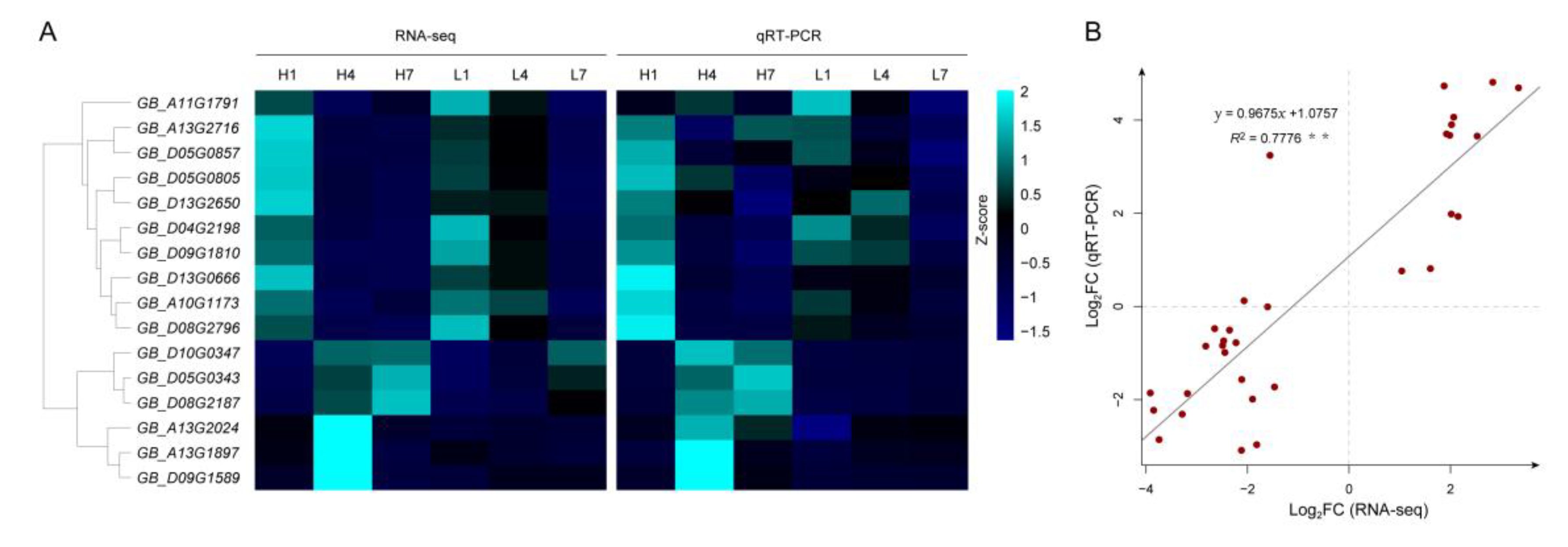 Genes 11 01066 g010 Genes 11 01066 g010