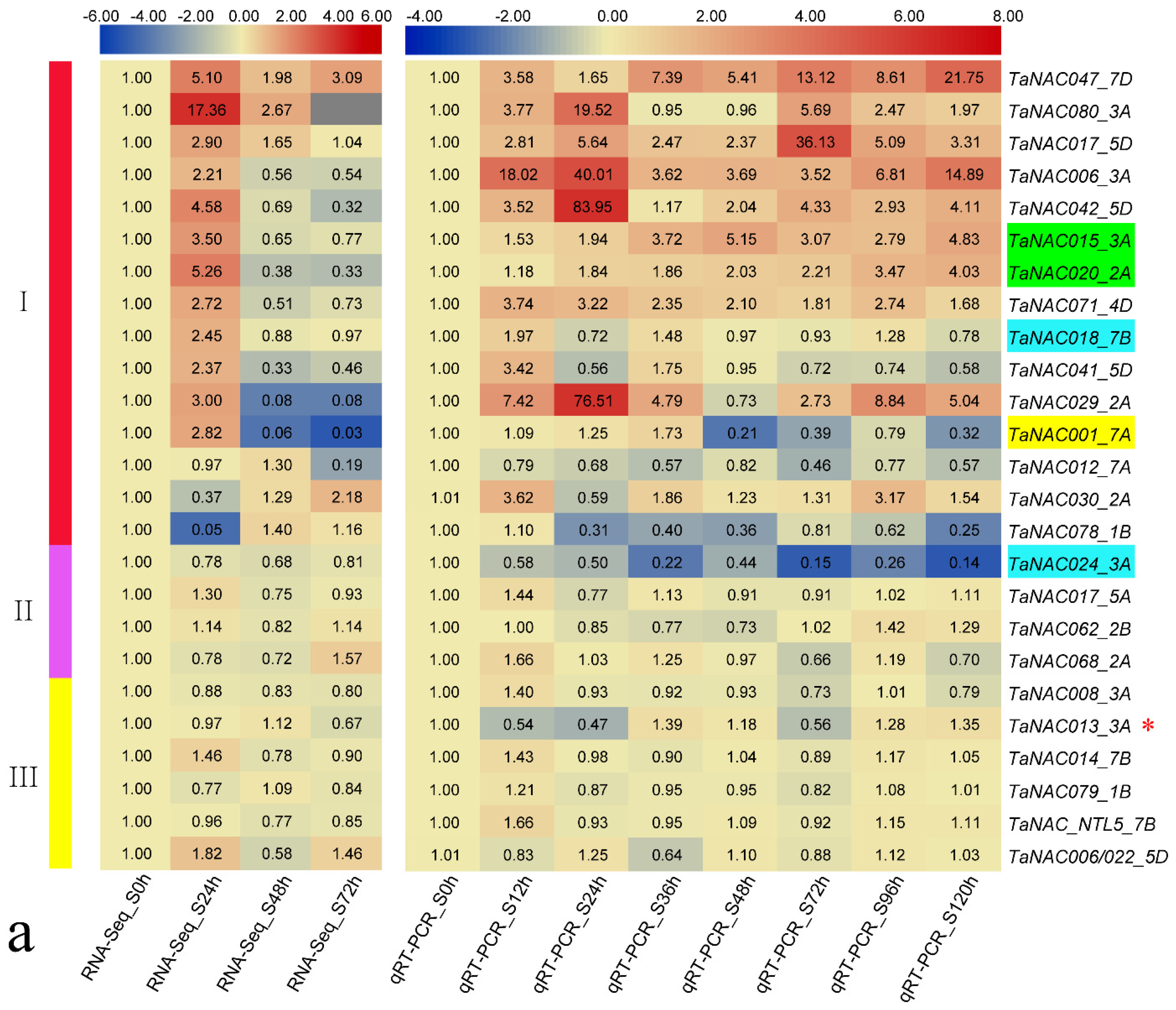 Genes 11 01073 g002a Genes 11 01073 g002a