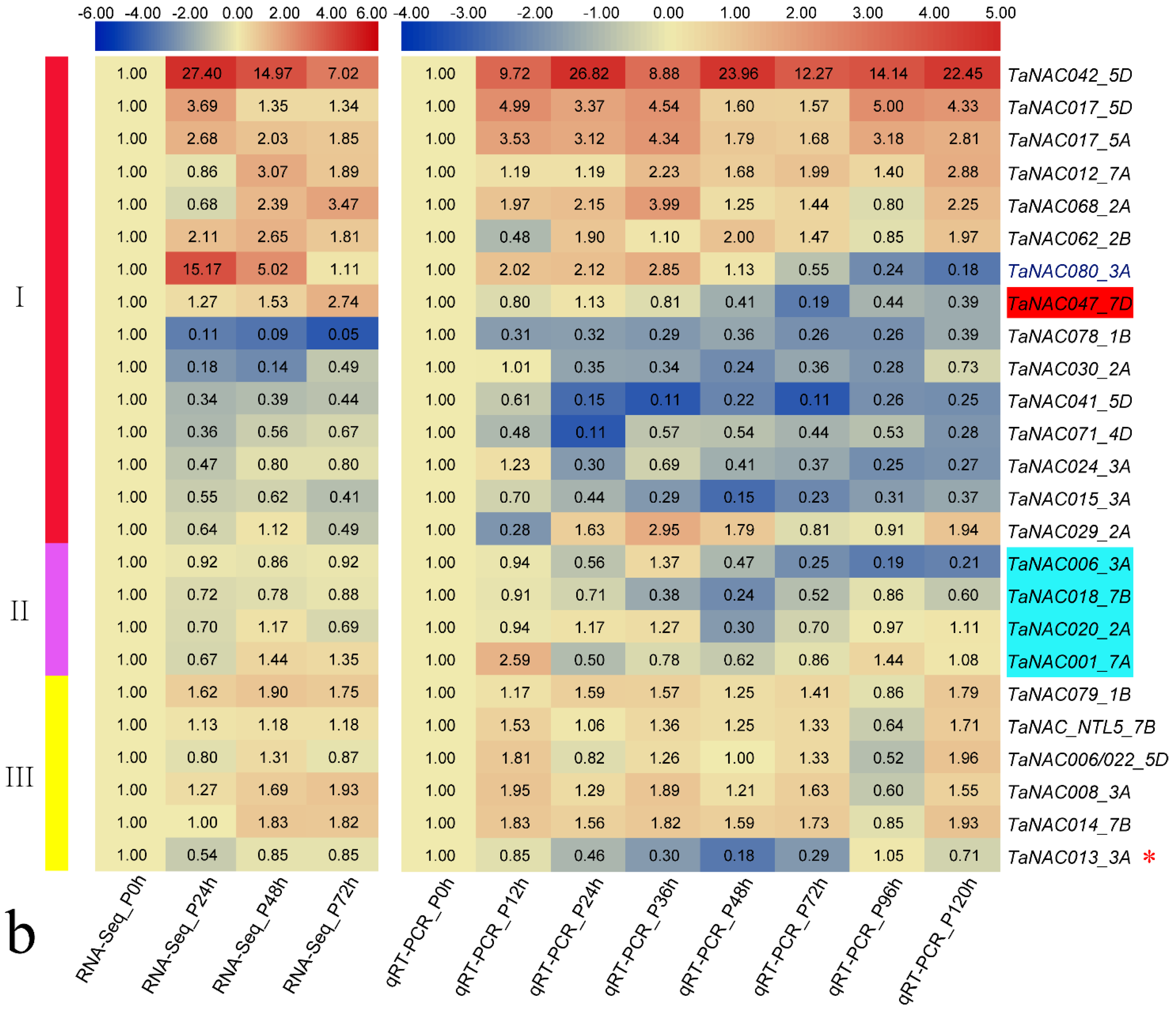 Genes 11 01073 g002b Genes 11 01073 g002b