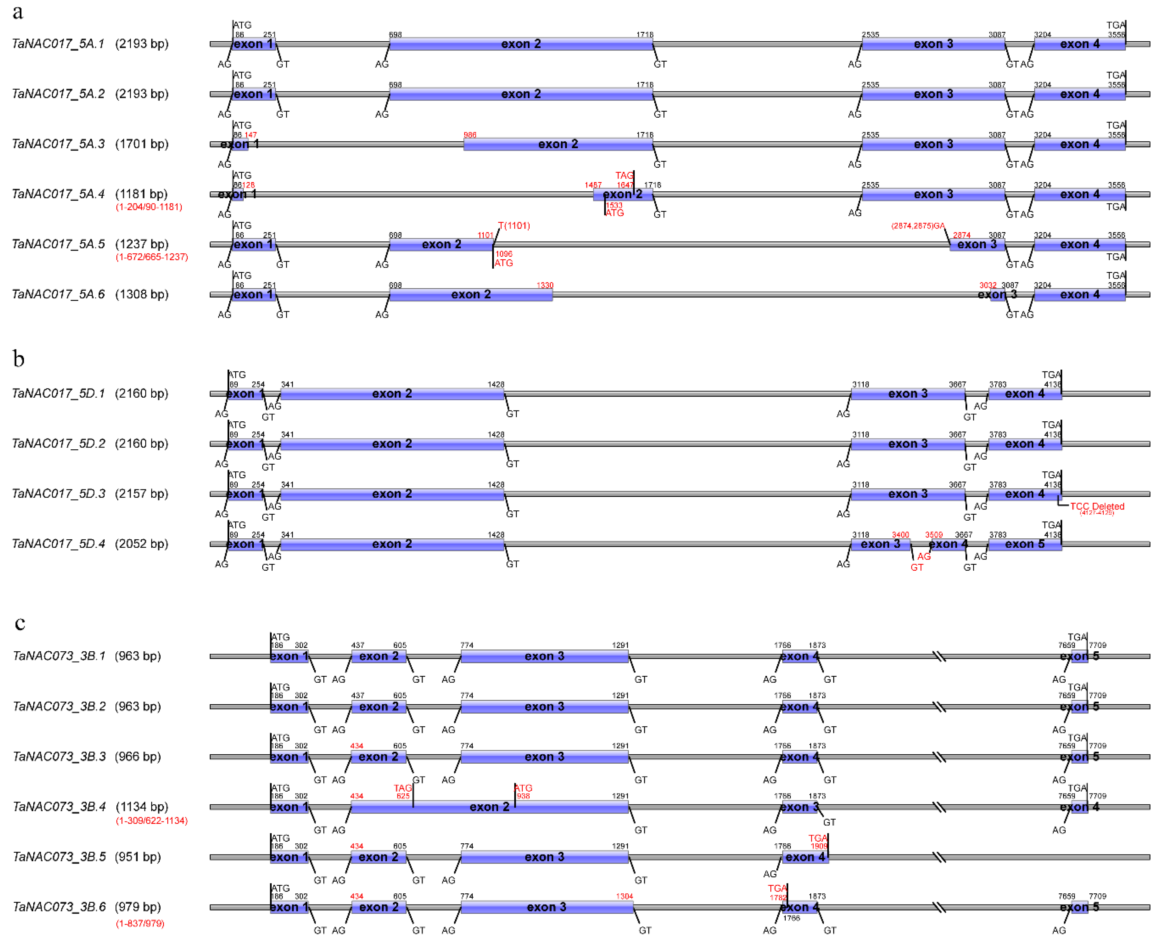 Genes 11 01073 g003 Genes 11 01073 g003
