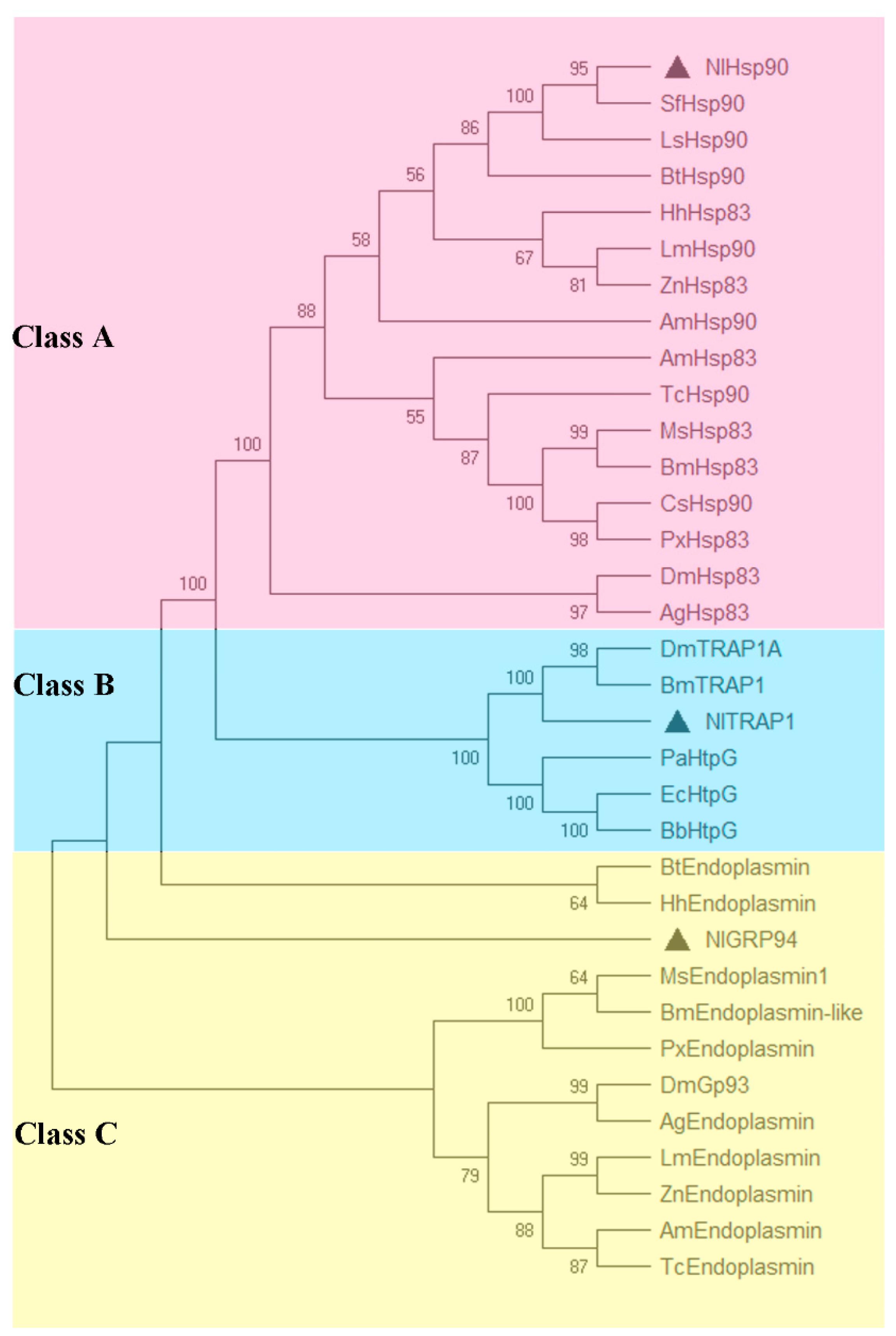 Genes 11 01074 g002 Genes 11 01074 g002