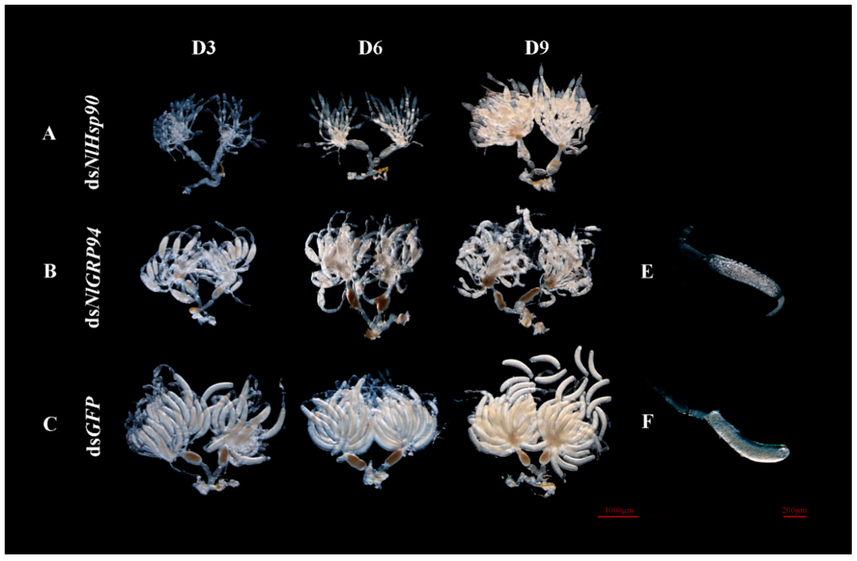 Genes 11 01074 g007 Genes 11 01074 g007