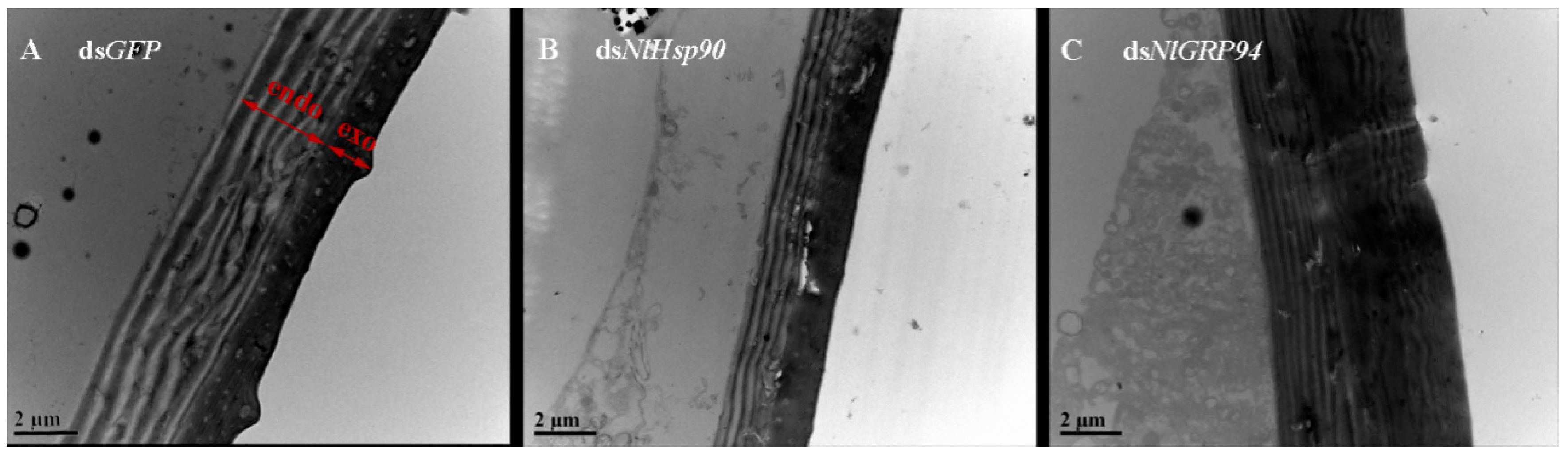 Genes 11 01074 g009 Genes 11 01074 g009