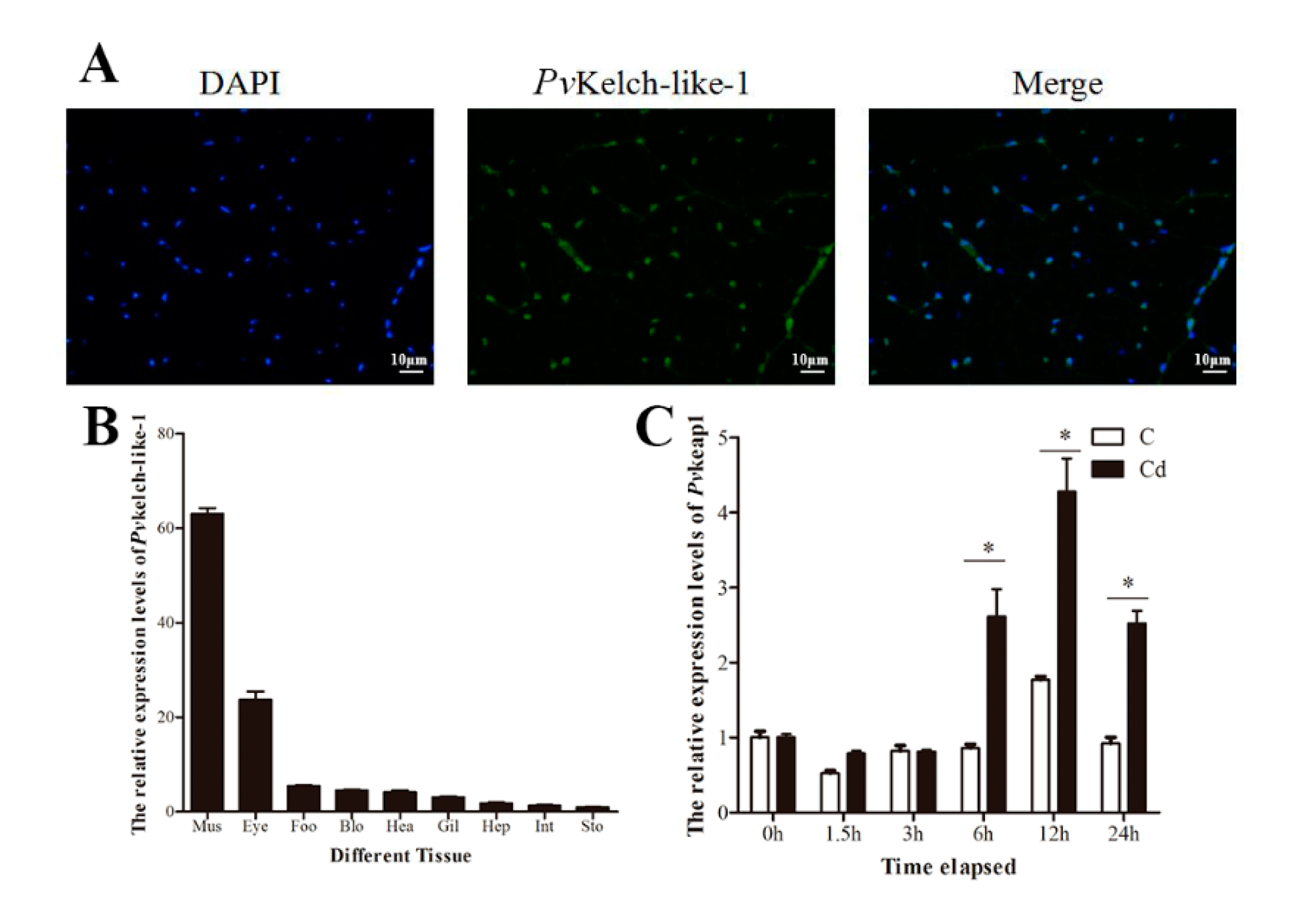 Genes 11 01077 g002 Genes 11 01077 g002