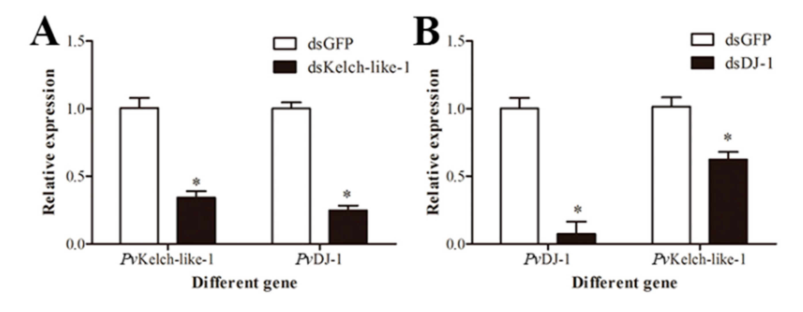 Genes 11 01077 g006 Genes 11 01077 g006