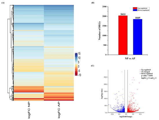 Genes 11 01079 g001 550