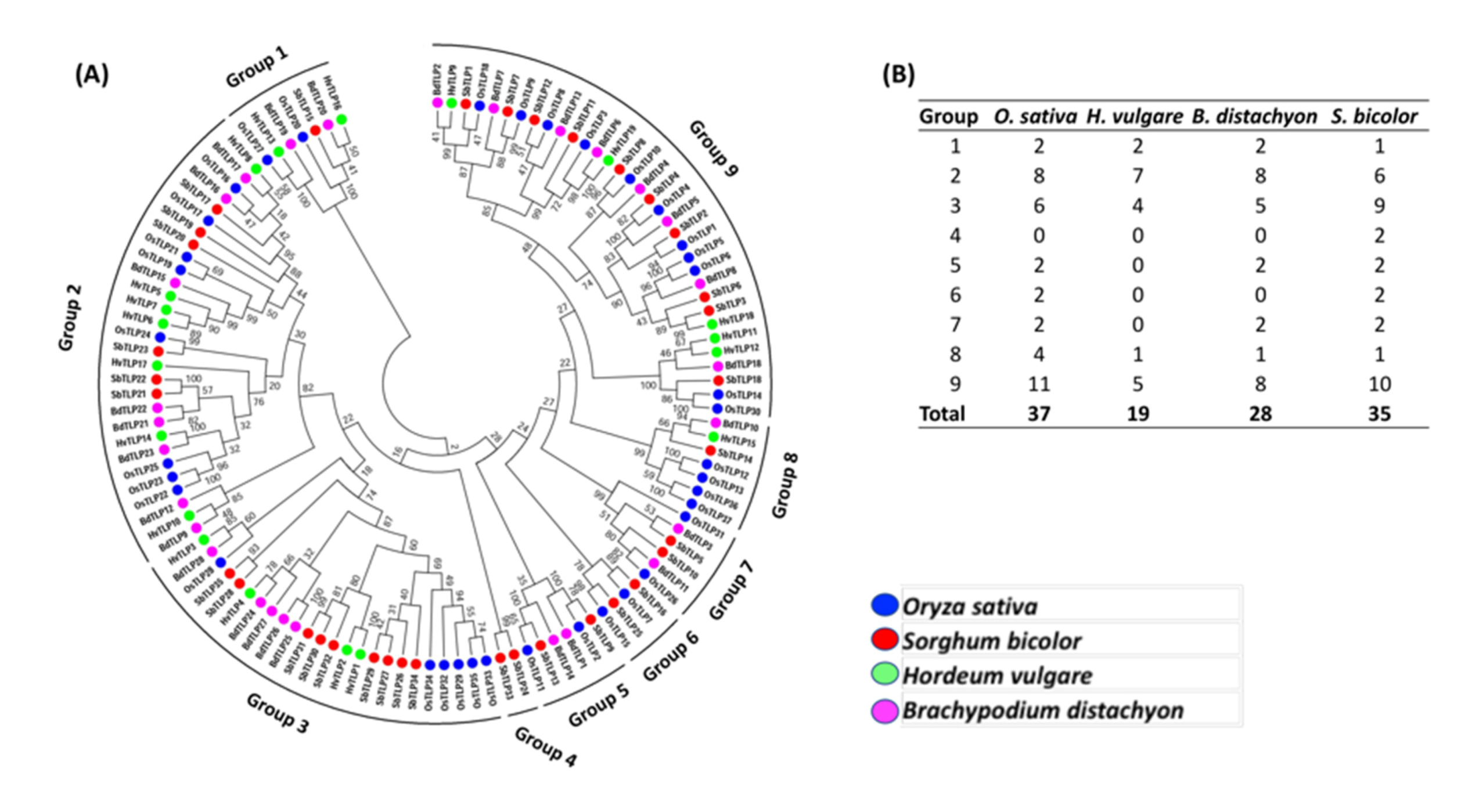 Genes 11 01080 g002 Genes 11 01080 g002