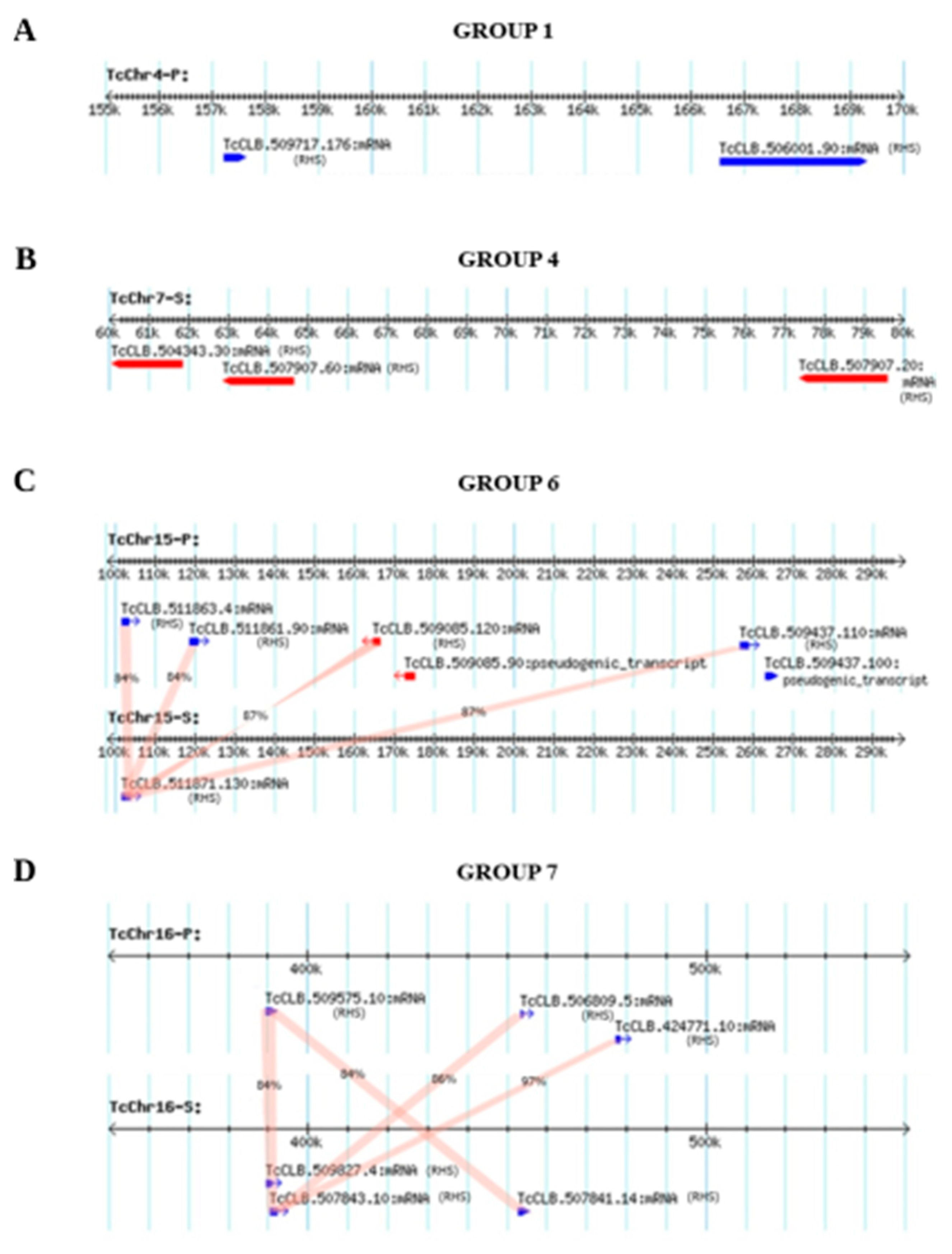 Genes 11 01085 g003 Genes 11 01085 g003