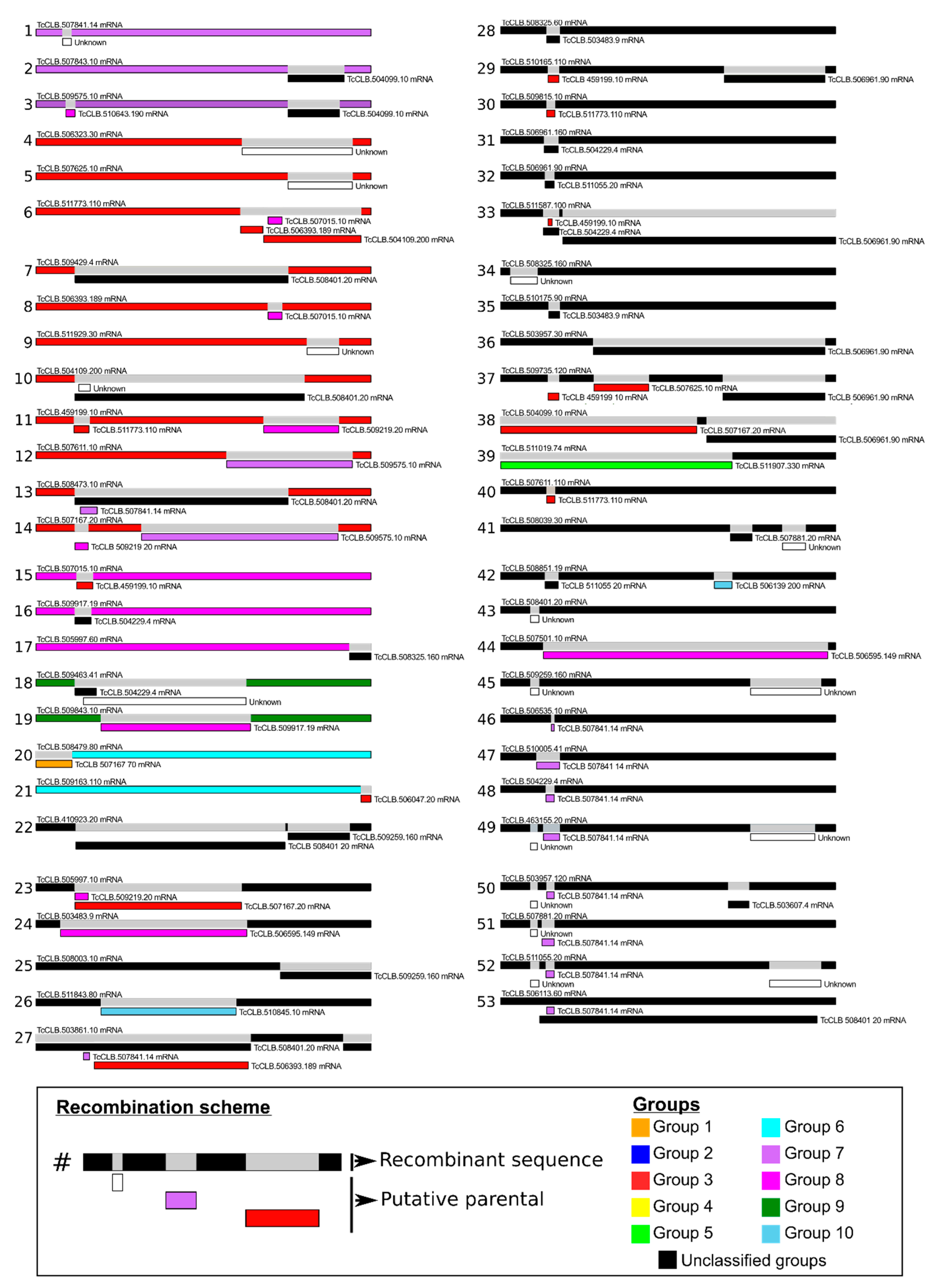 Genes 11 01085 g004 Genes 11 01085 g004
