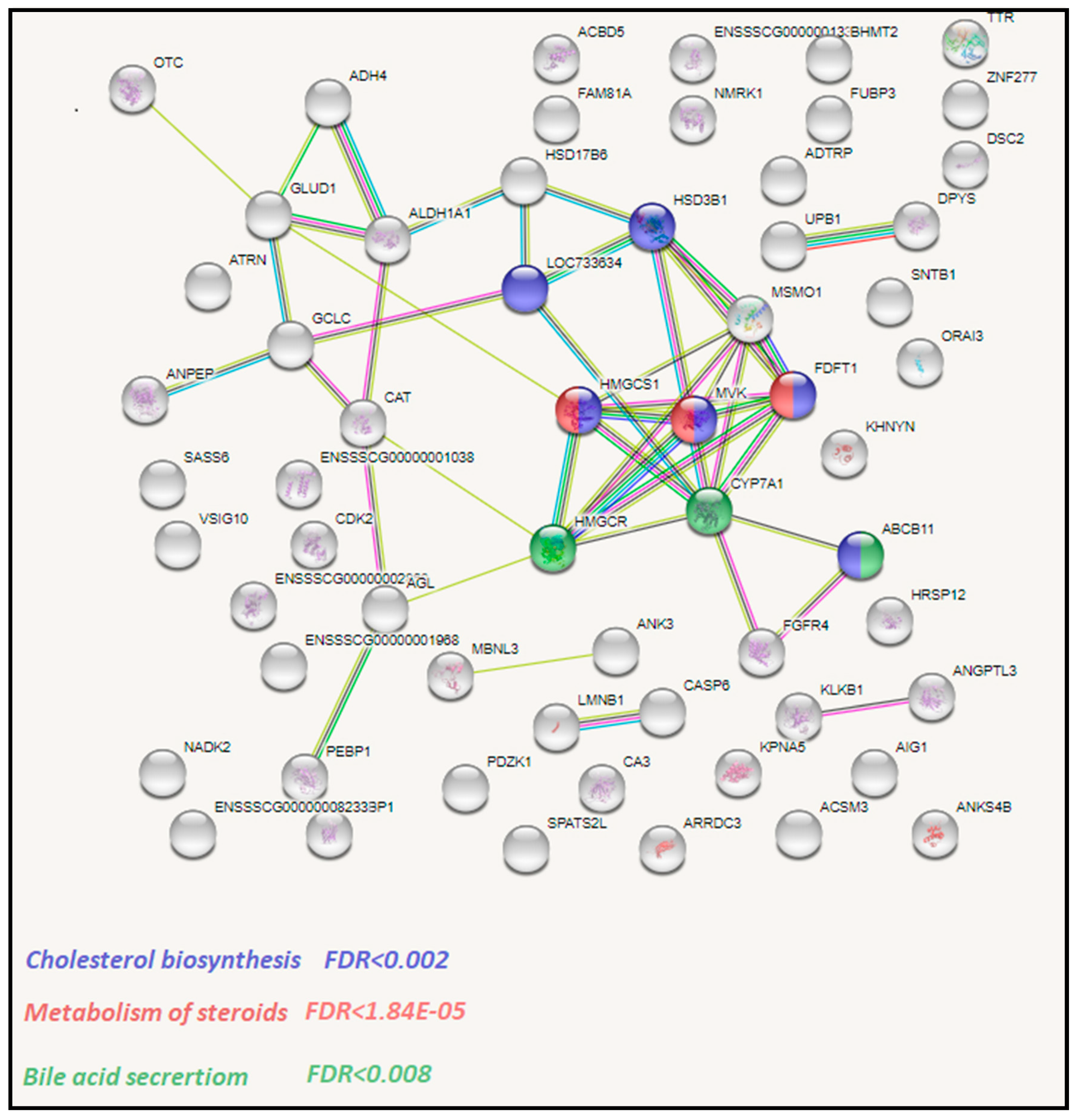 Genes 11 01087 g003 Genes 11 01087 g003