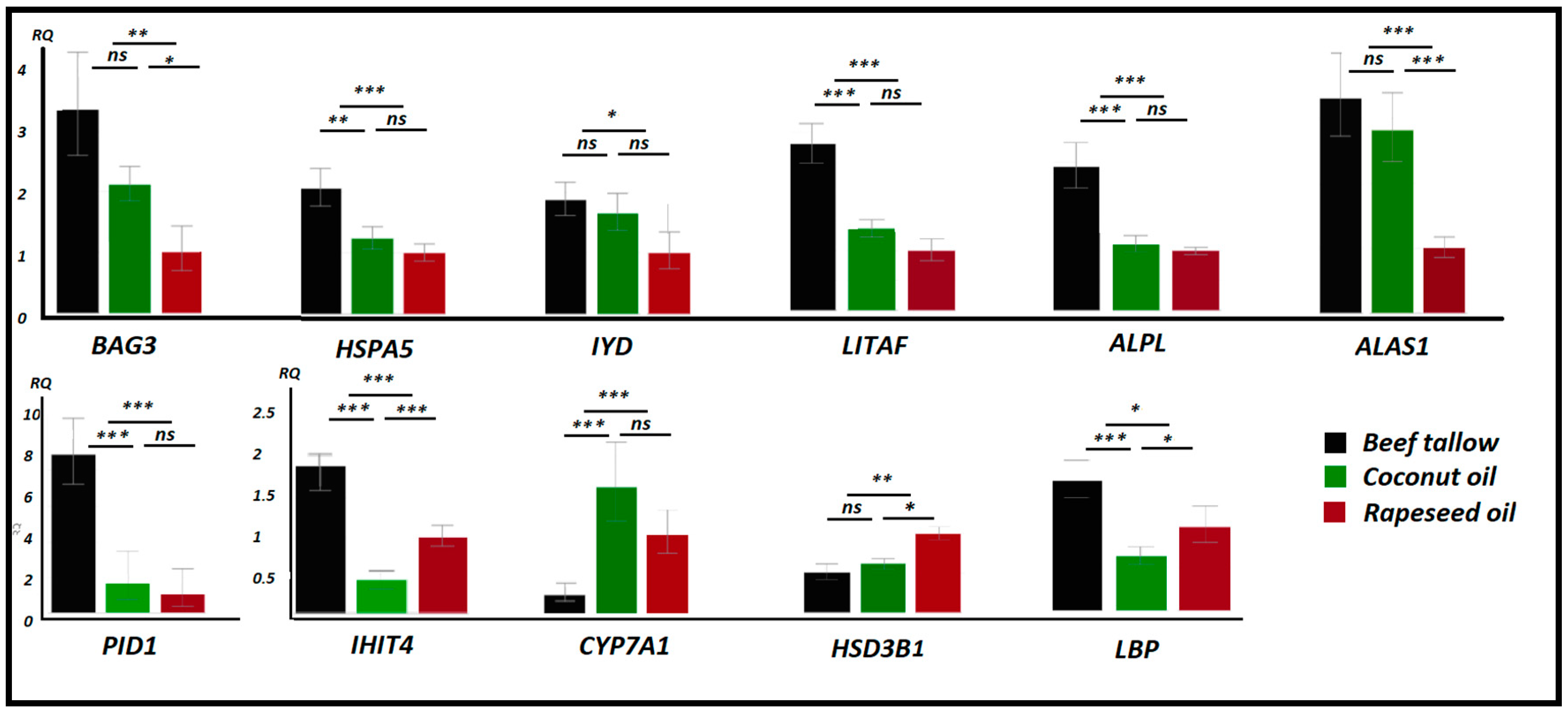 Genes 11 01087 g007 Genes 11 01087 g007