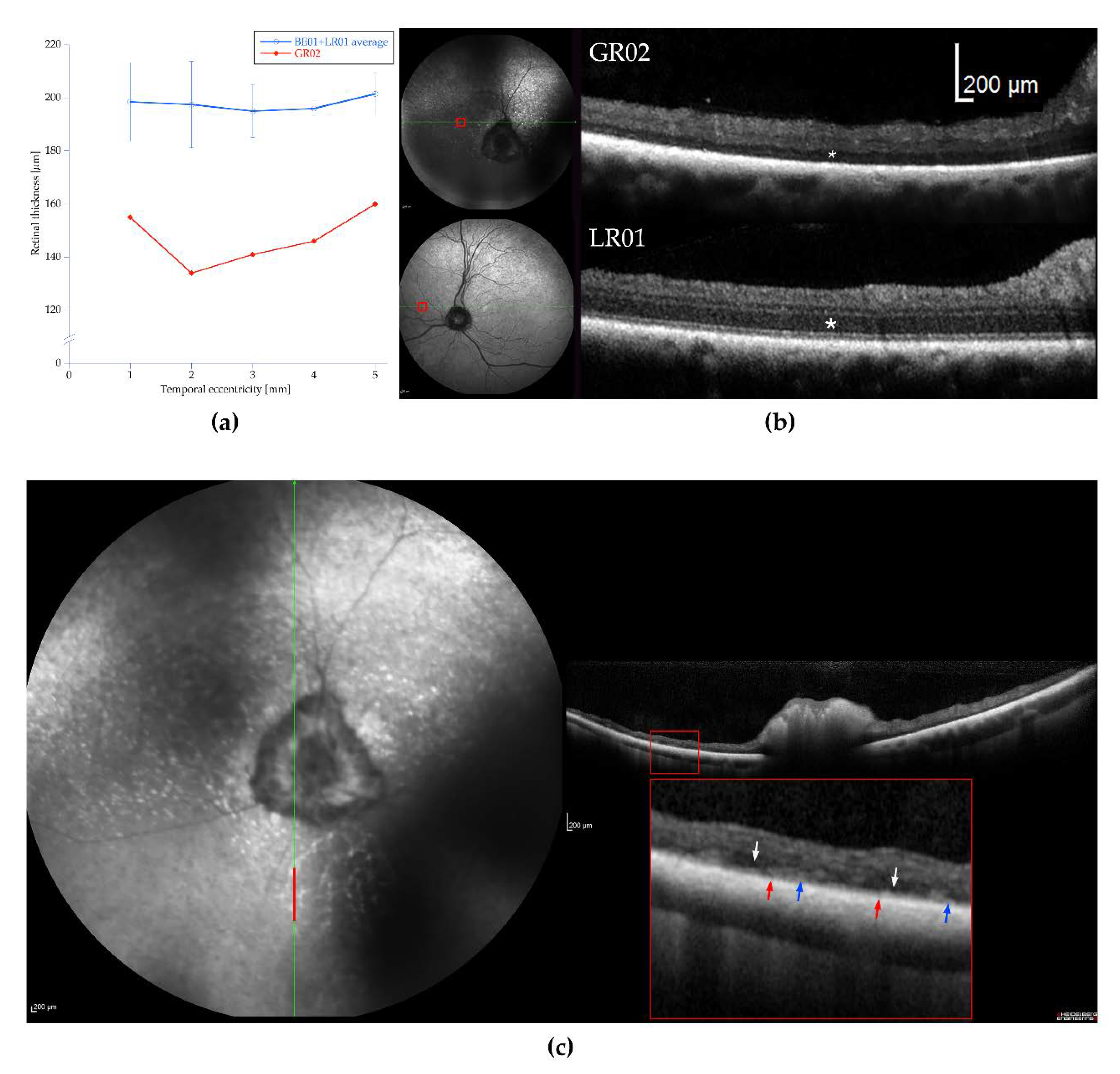 Genes 11 01090 g002 Genes 11 01090 g002
