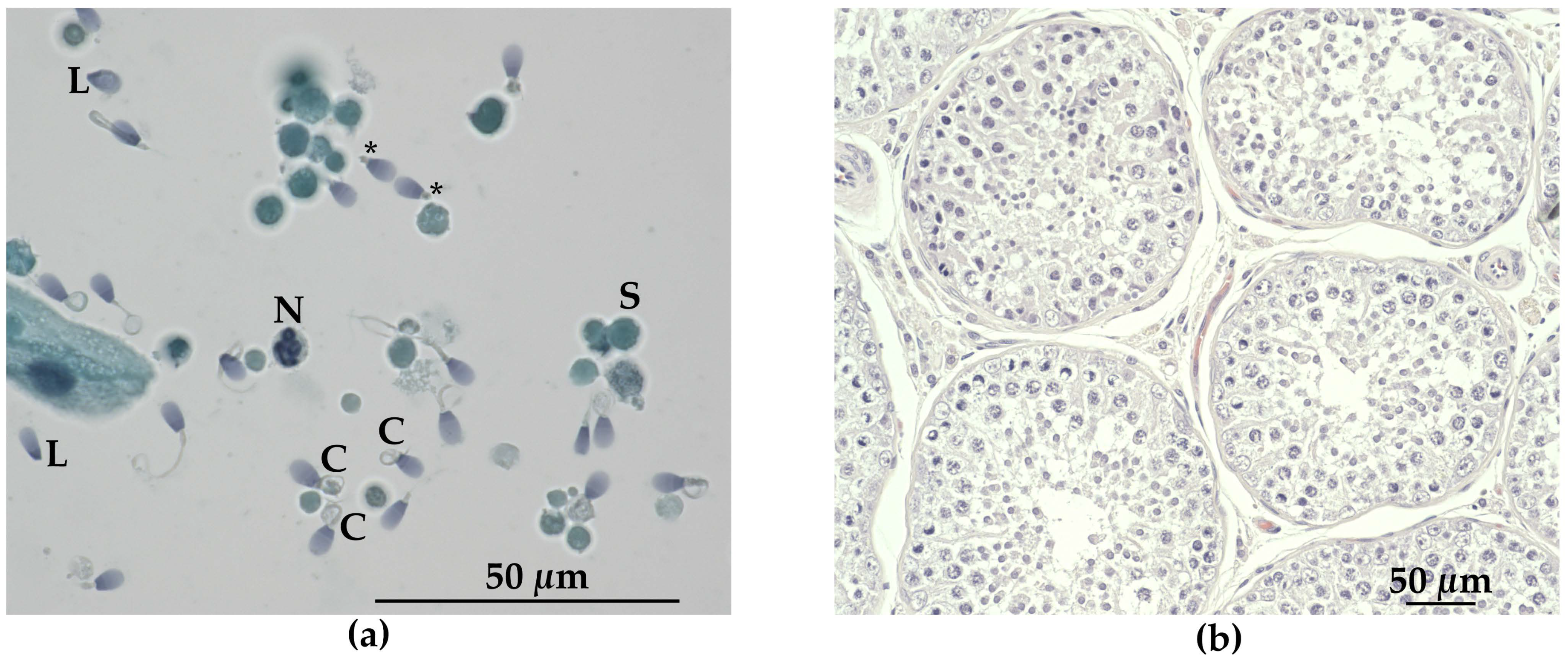 Genes 11 01090 g005 Genes 11 01090 g005