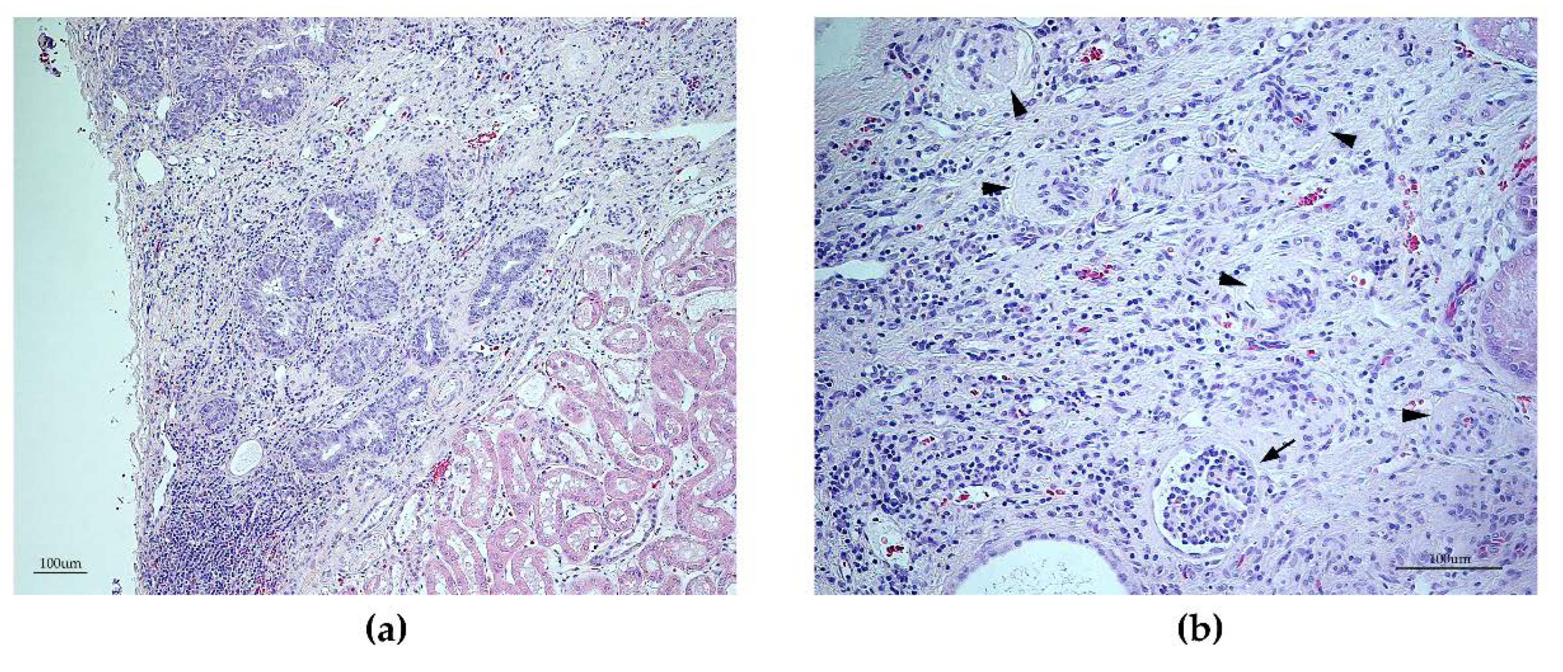 Genes 11 01090 g006 Genes 11 01090 g006