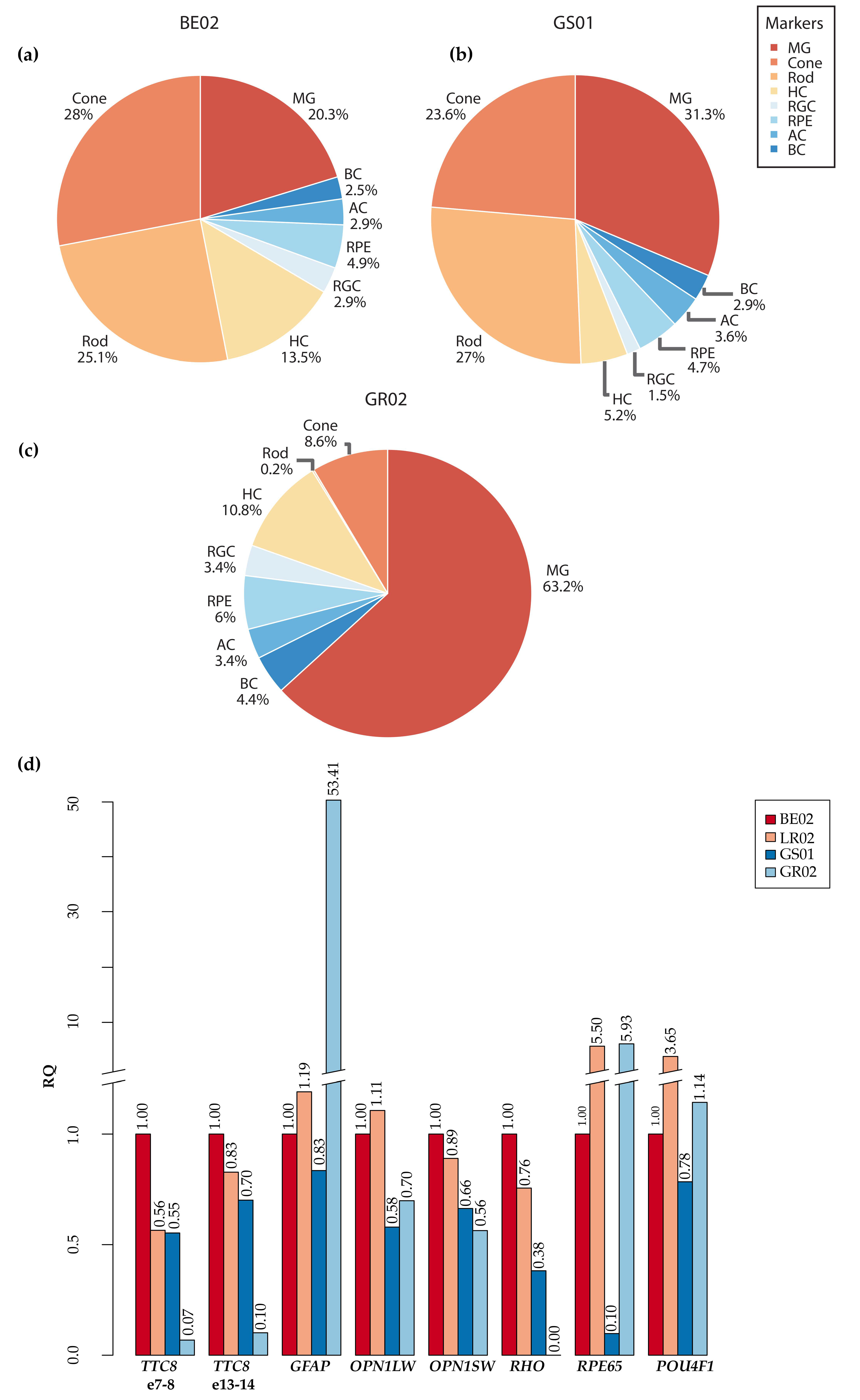 Genes 11 01090 g008 Genes 11 01090 g008