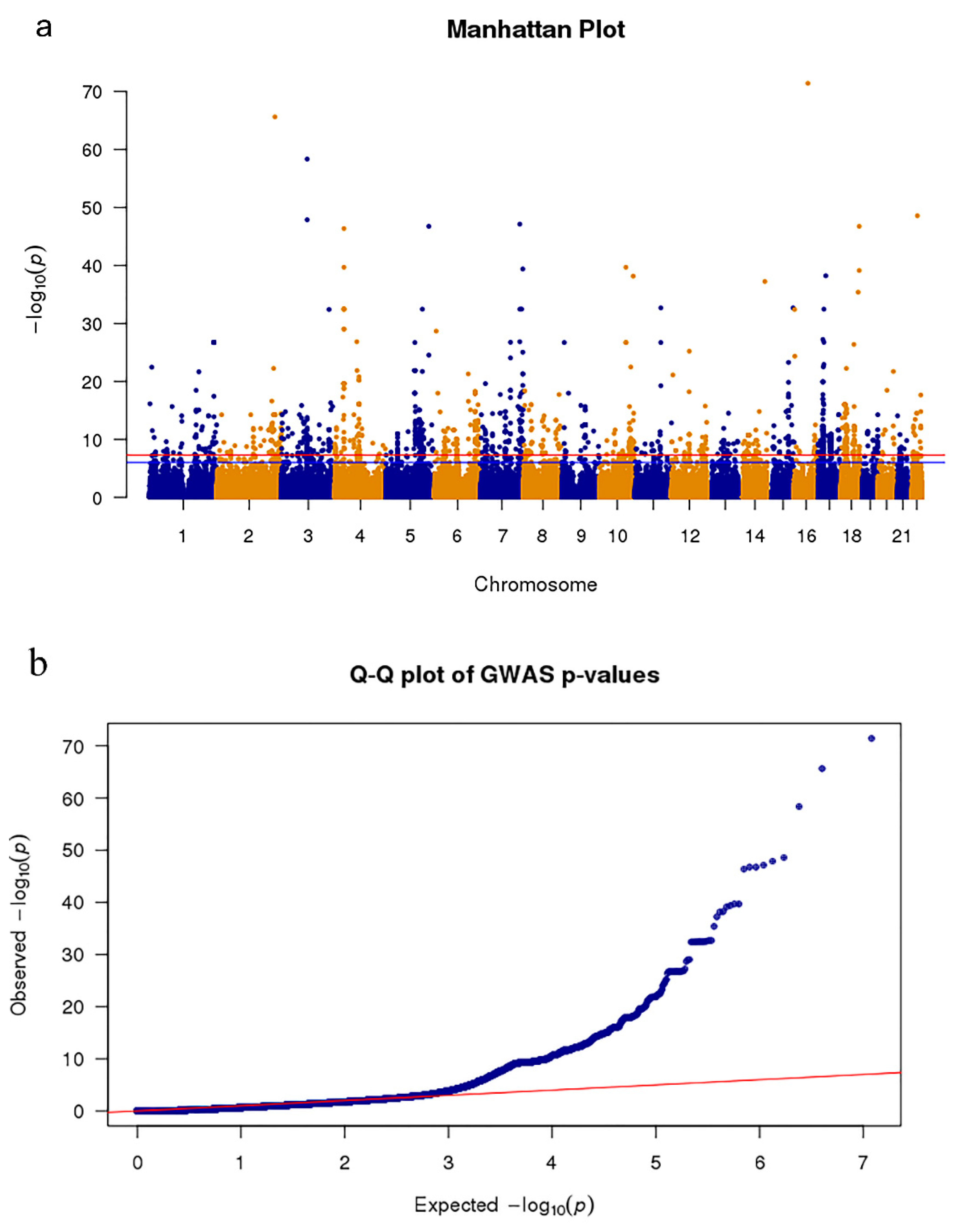 Genes 11 01100 g001