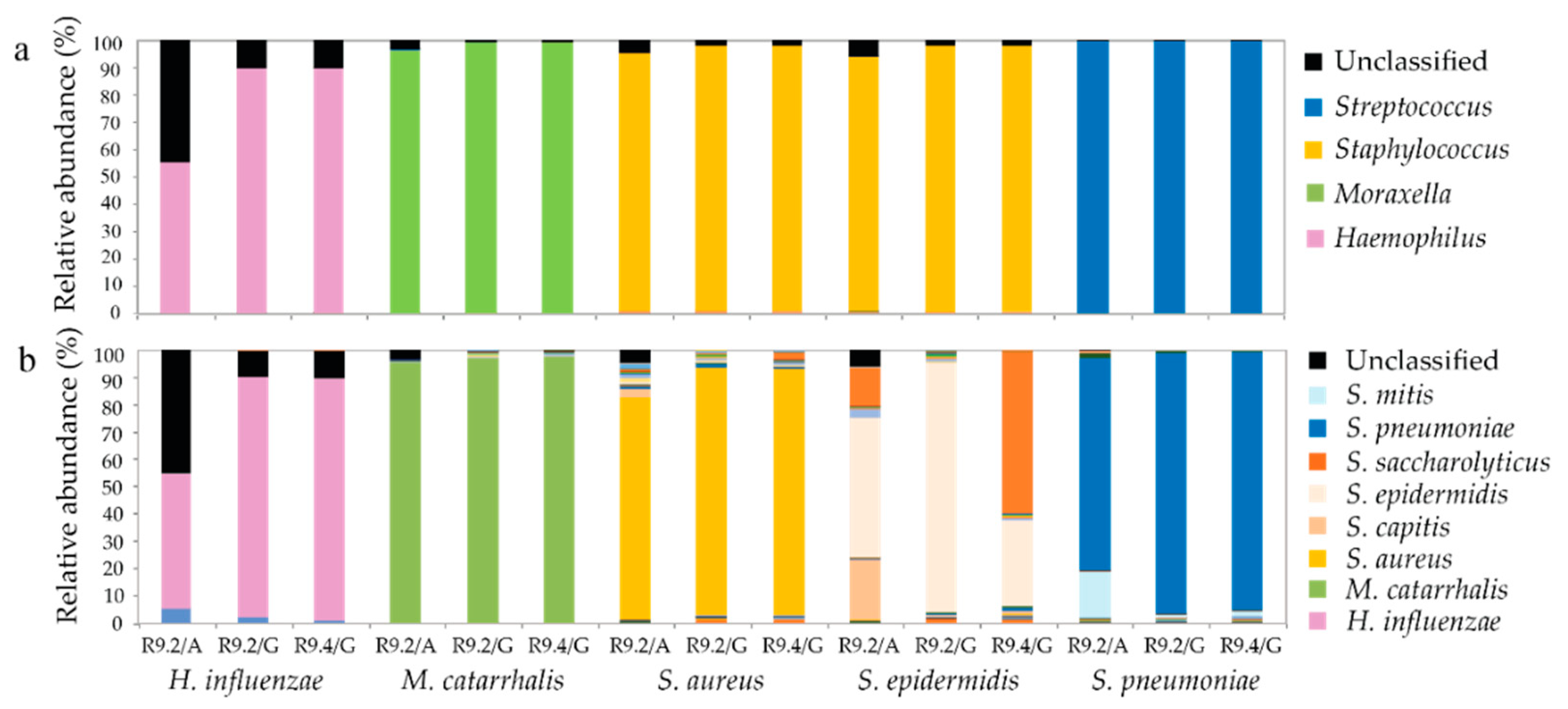Genes 11 01105 g004 Genes 11 01105 g004