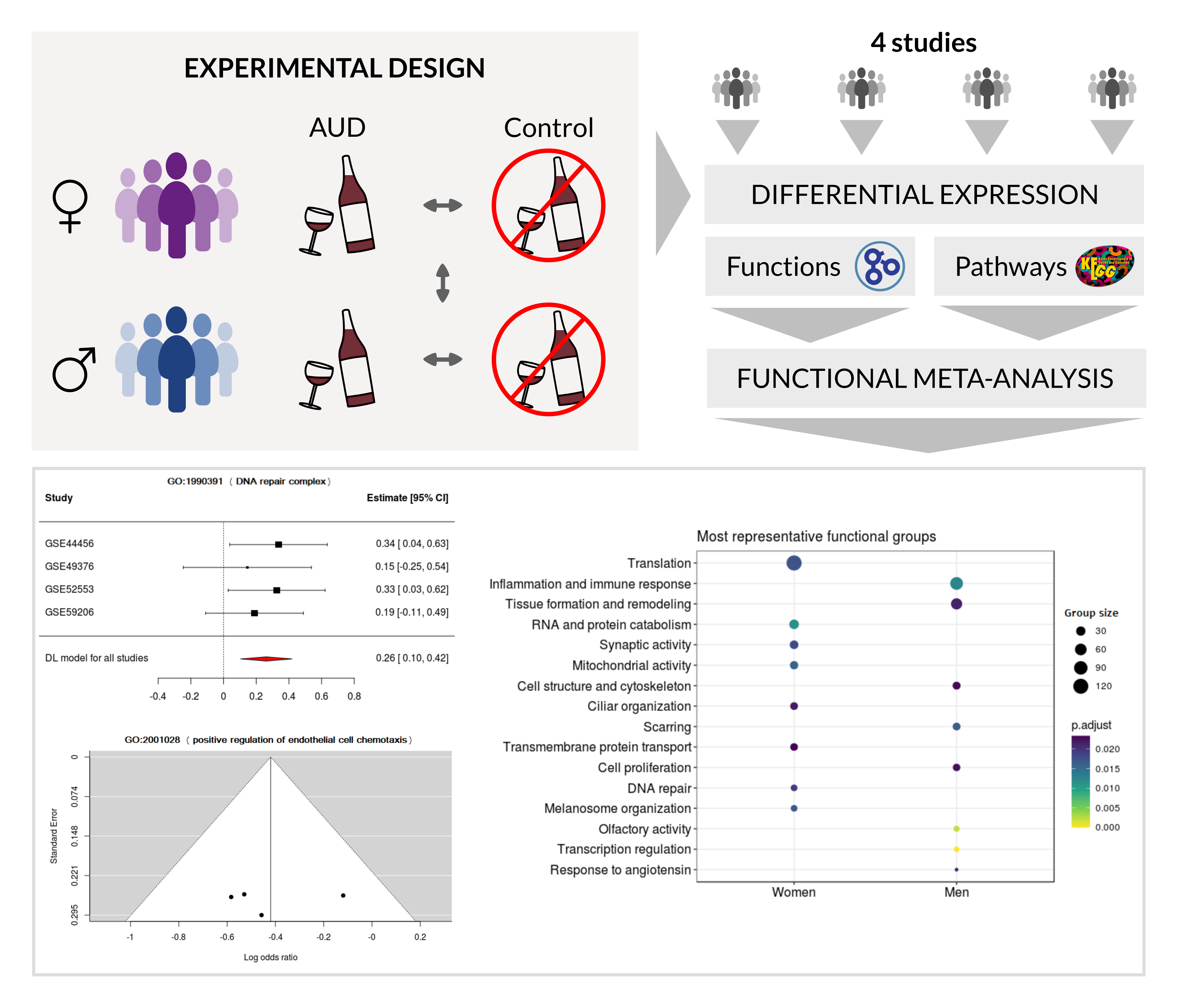 Why is a person under the influence of alcohol more likely to engage in other high-risk behaviors image