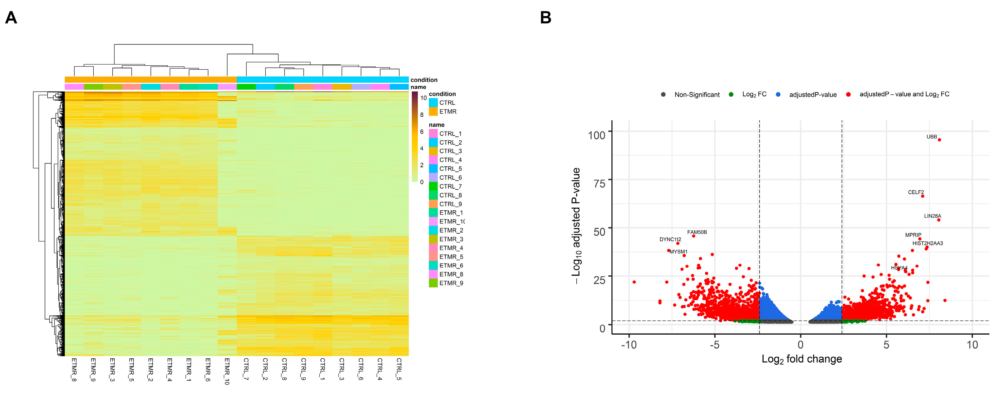 都内で Revealed Analysis Transcriptomic an of Role Emerging 羊毛フェルト