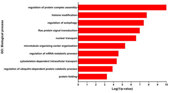 Autophagy Function and Regulation in Kidney Disease