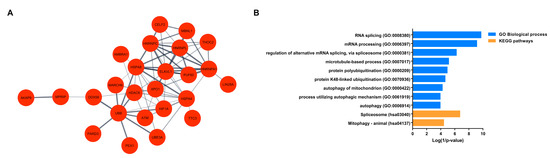 Transcriptomic Analysis Revealed an Emerging Role of