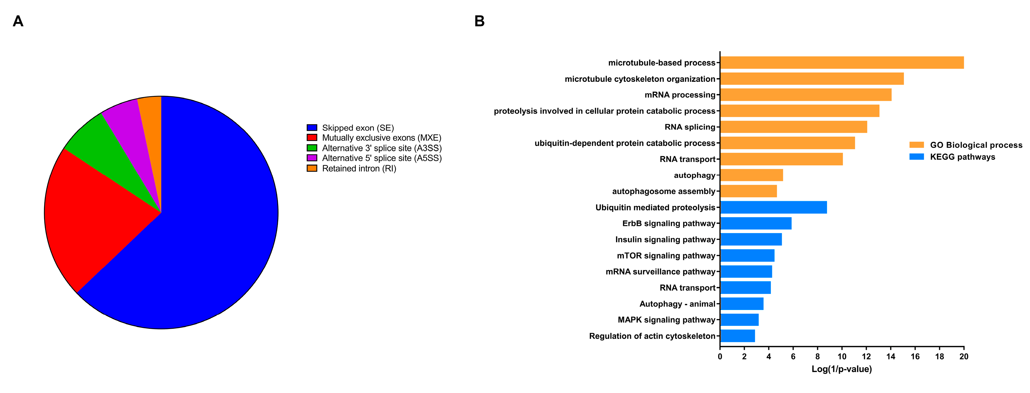 Genes 11 01108 g004 Genes 11 01108 g004