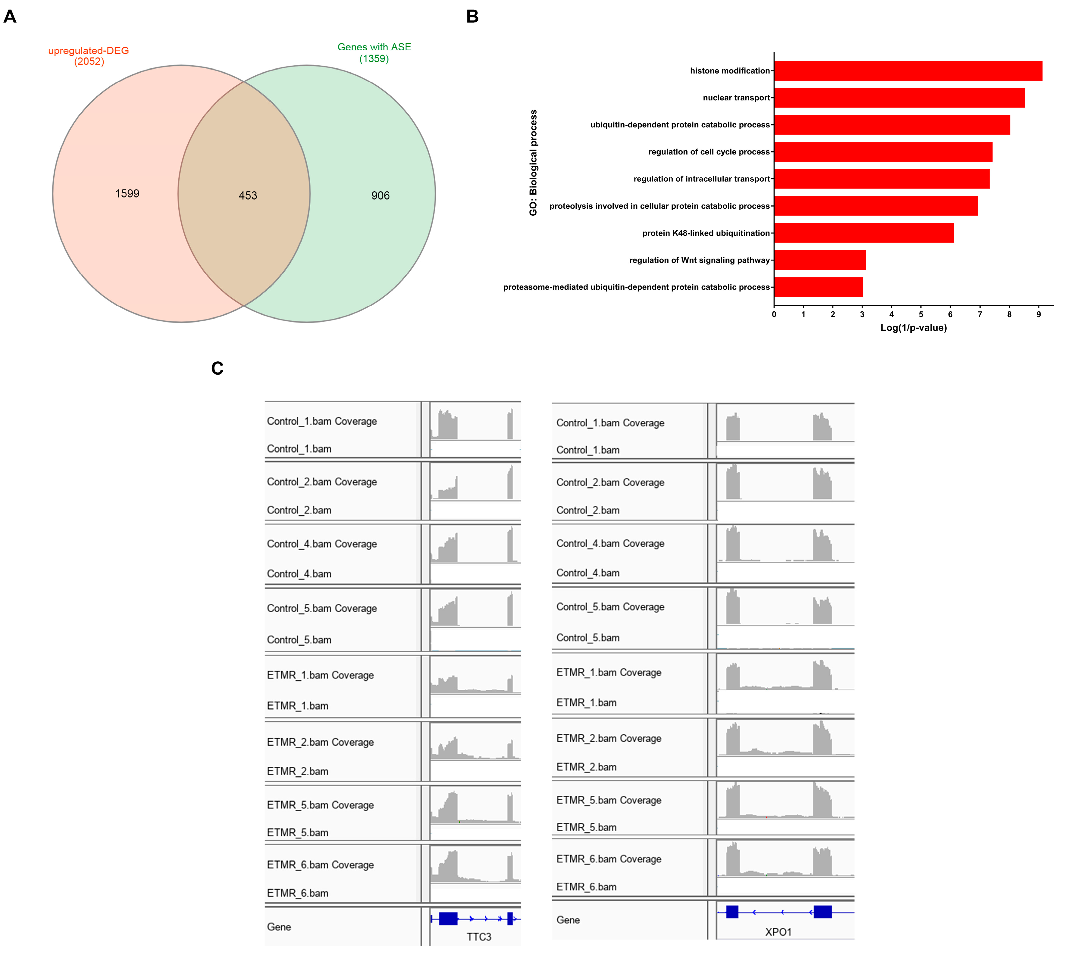 Genes 11 01108 g005 Genes 11 01108 g005