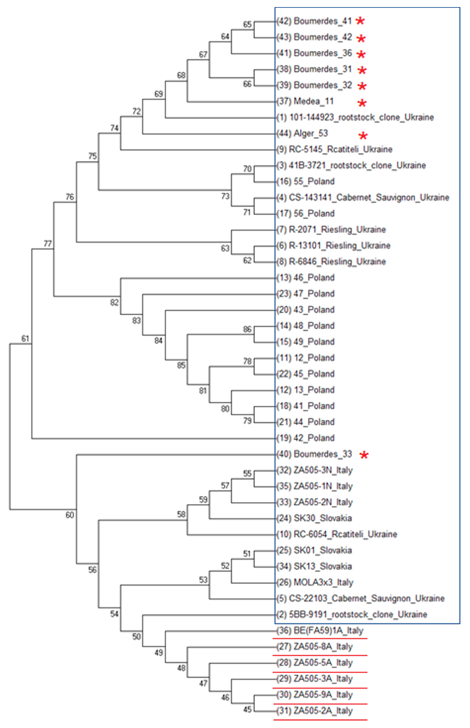 Genes 11 01110 g002 Genes 11 01110 g002