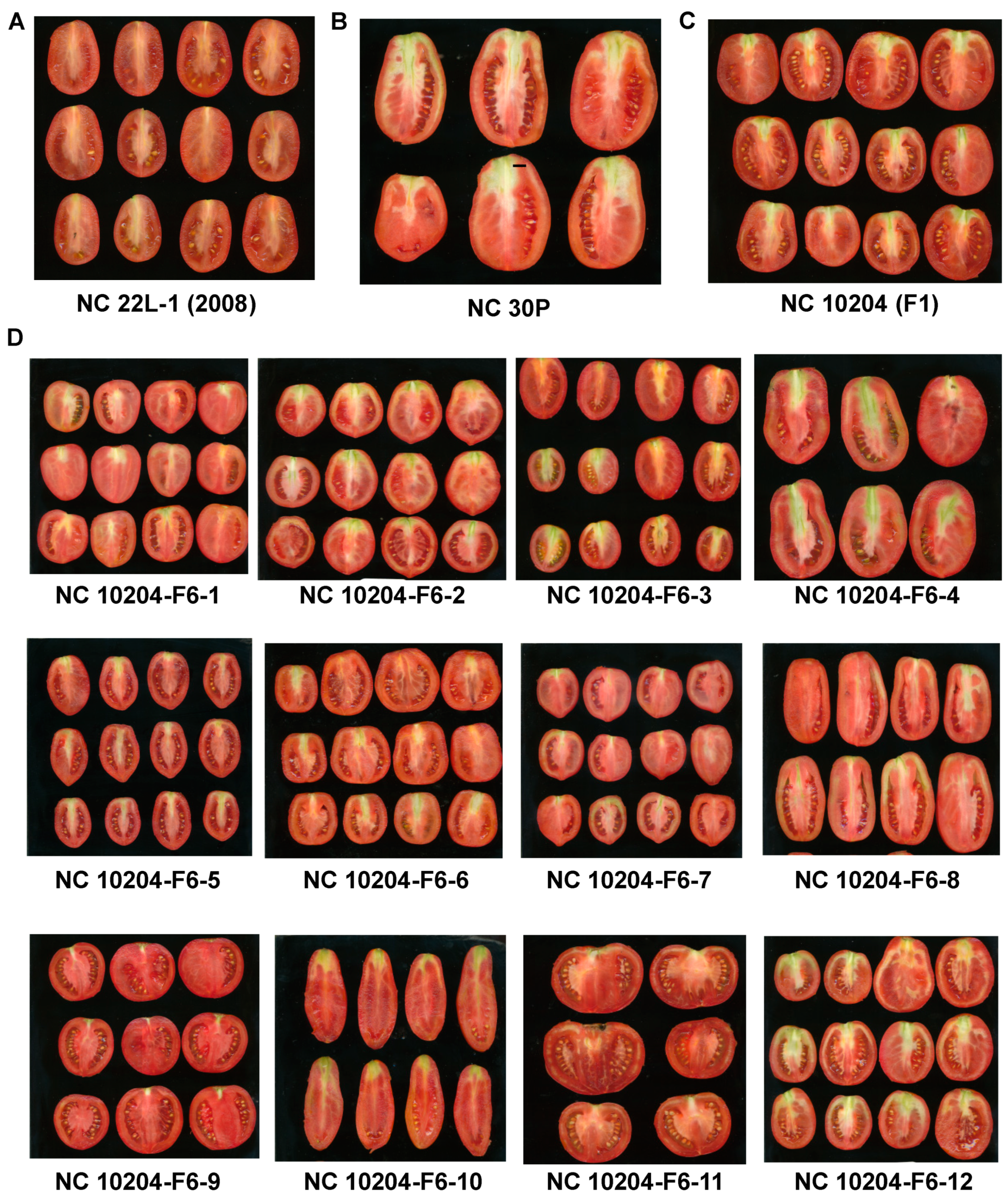 Genes 11 01117 g001 Genes 11 01117 g001